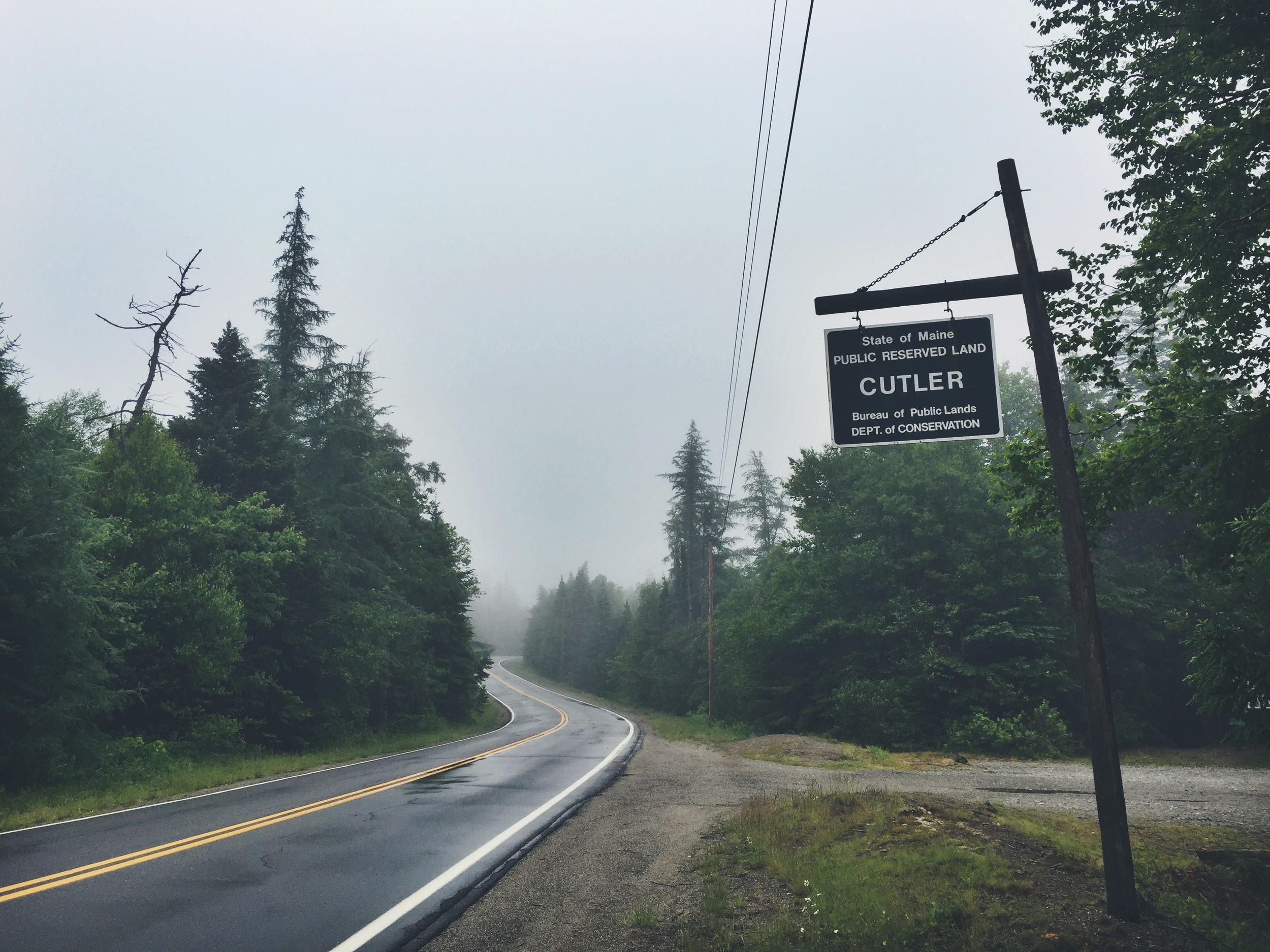 A rainy morning at Cutler Public Reserve Lands
