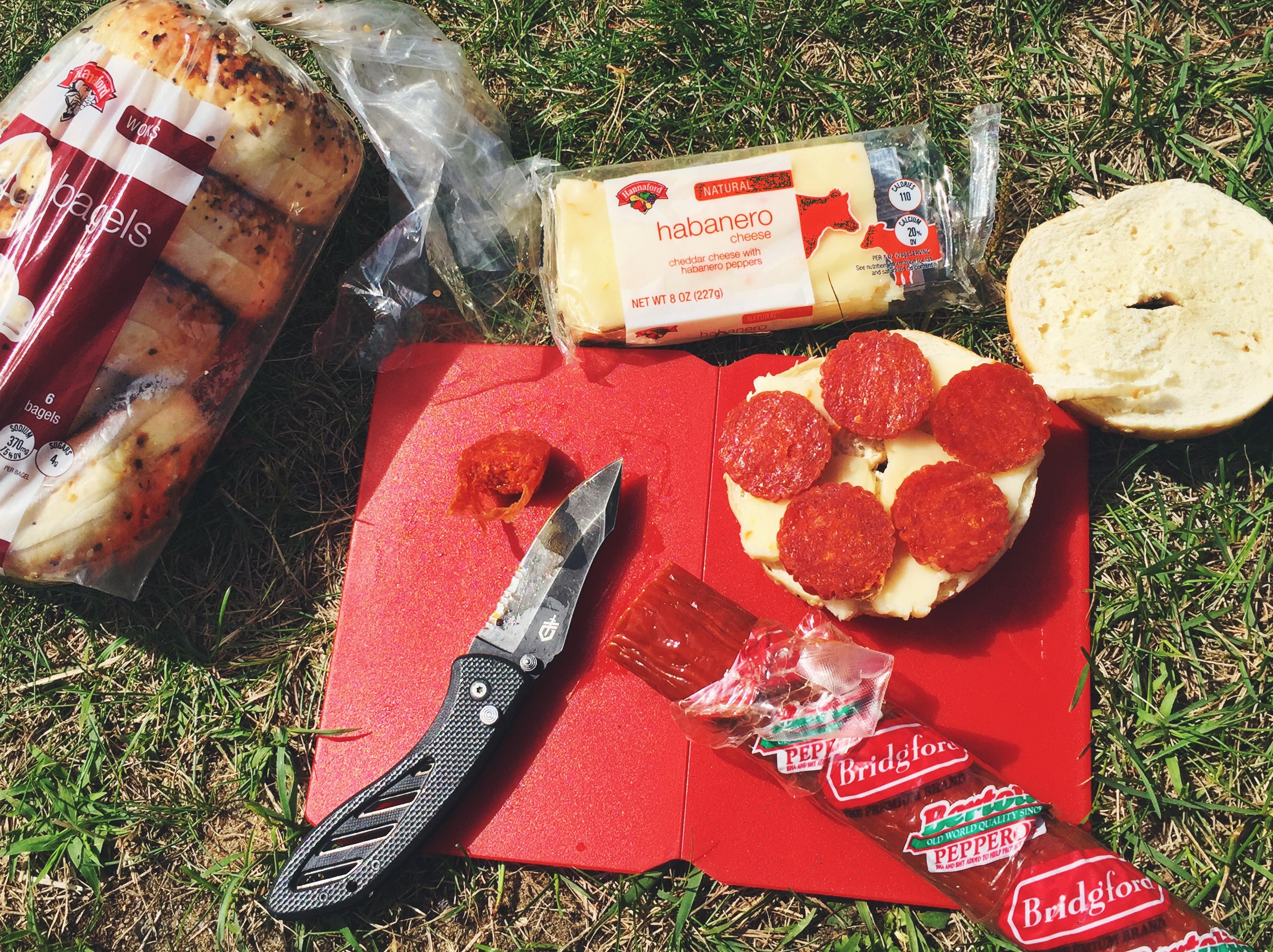 Bagel sandwiches for lunch at the north end of Fourth Lake, town of Inlet's Arrowhead Park. 