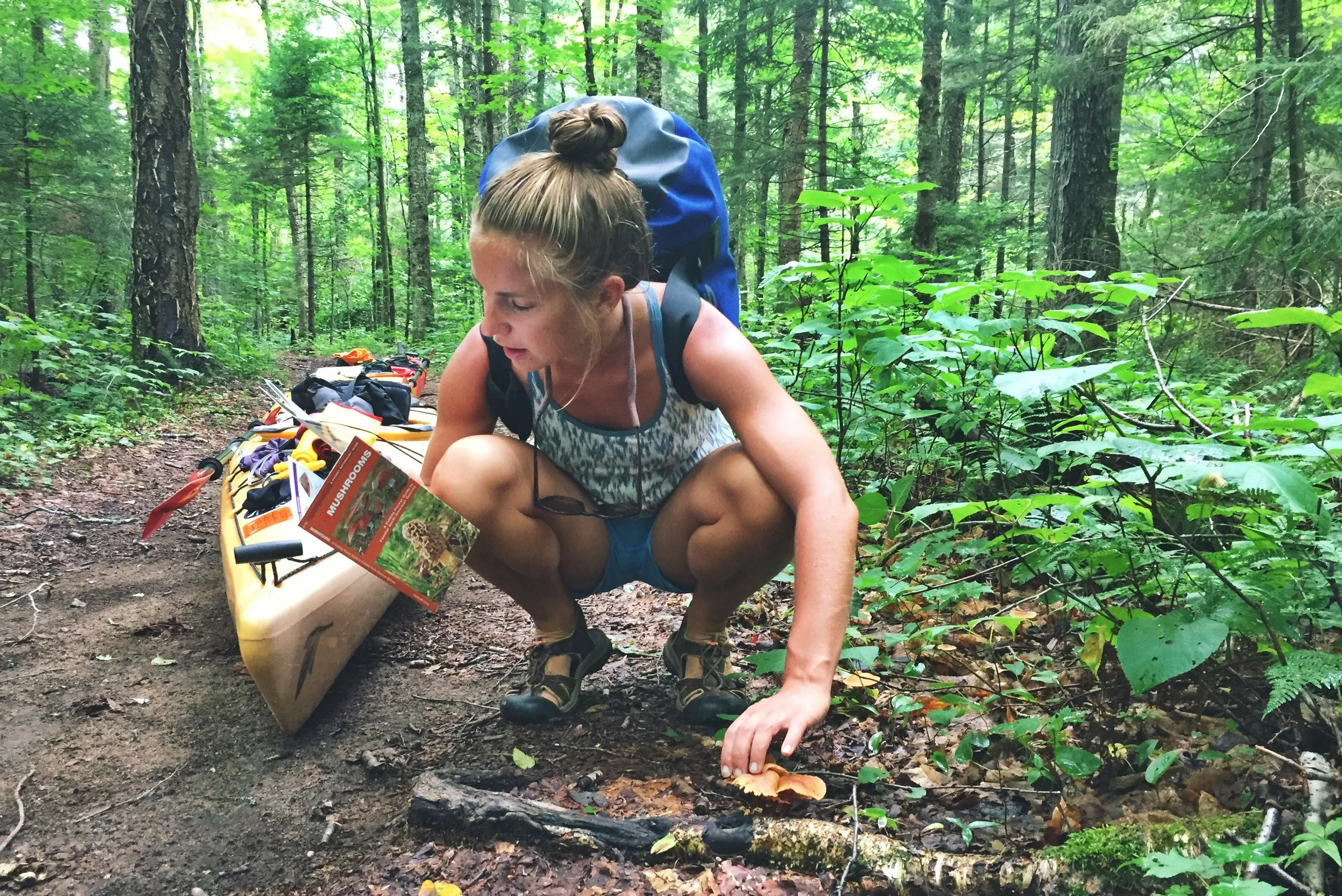 There have been many different kinds of mushrooms in these Adirondack forest. 