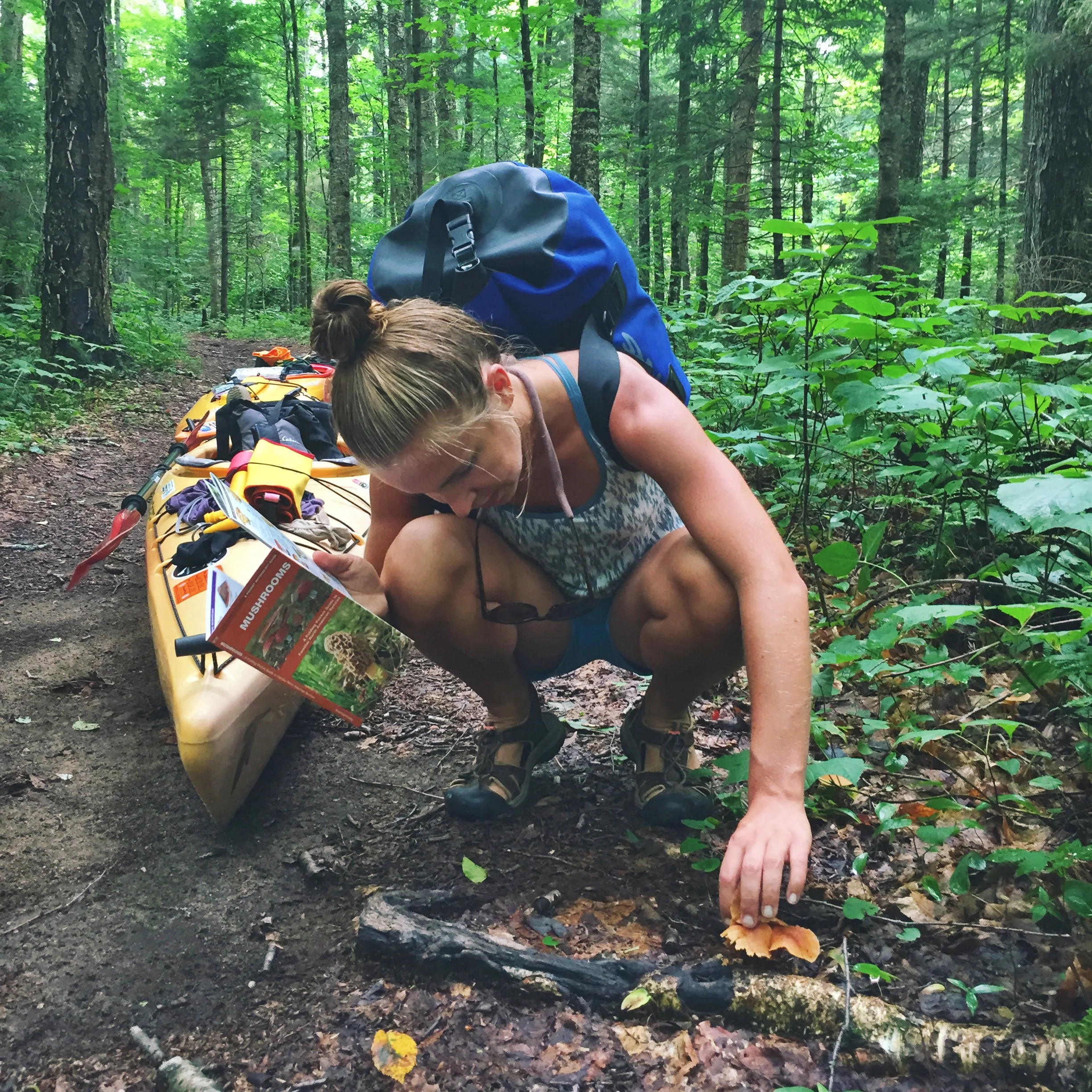 Moose identifies this one as a False Chantrelle Mushroom.