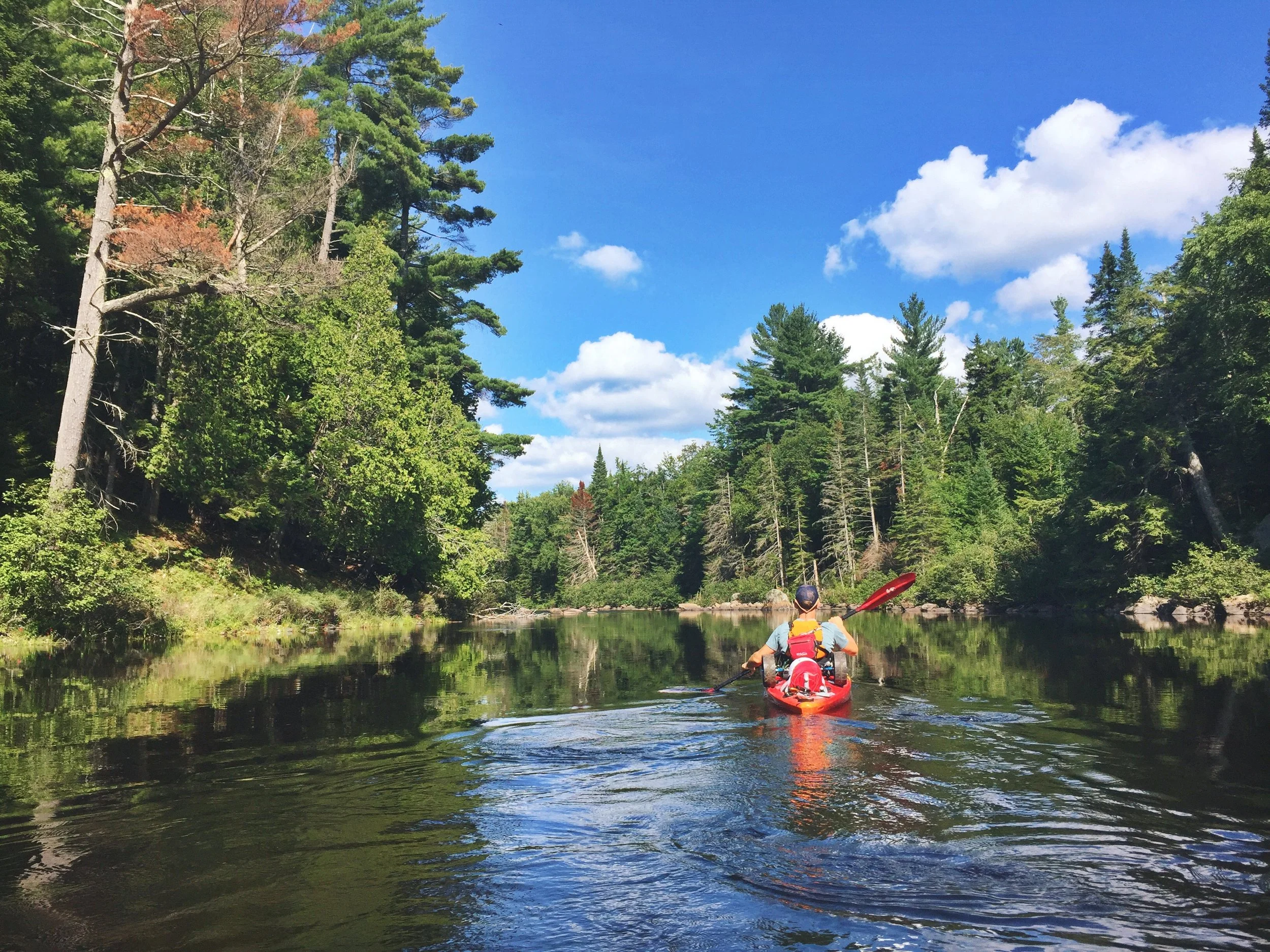 Teton paddles down the beautiful Raquette River.
