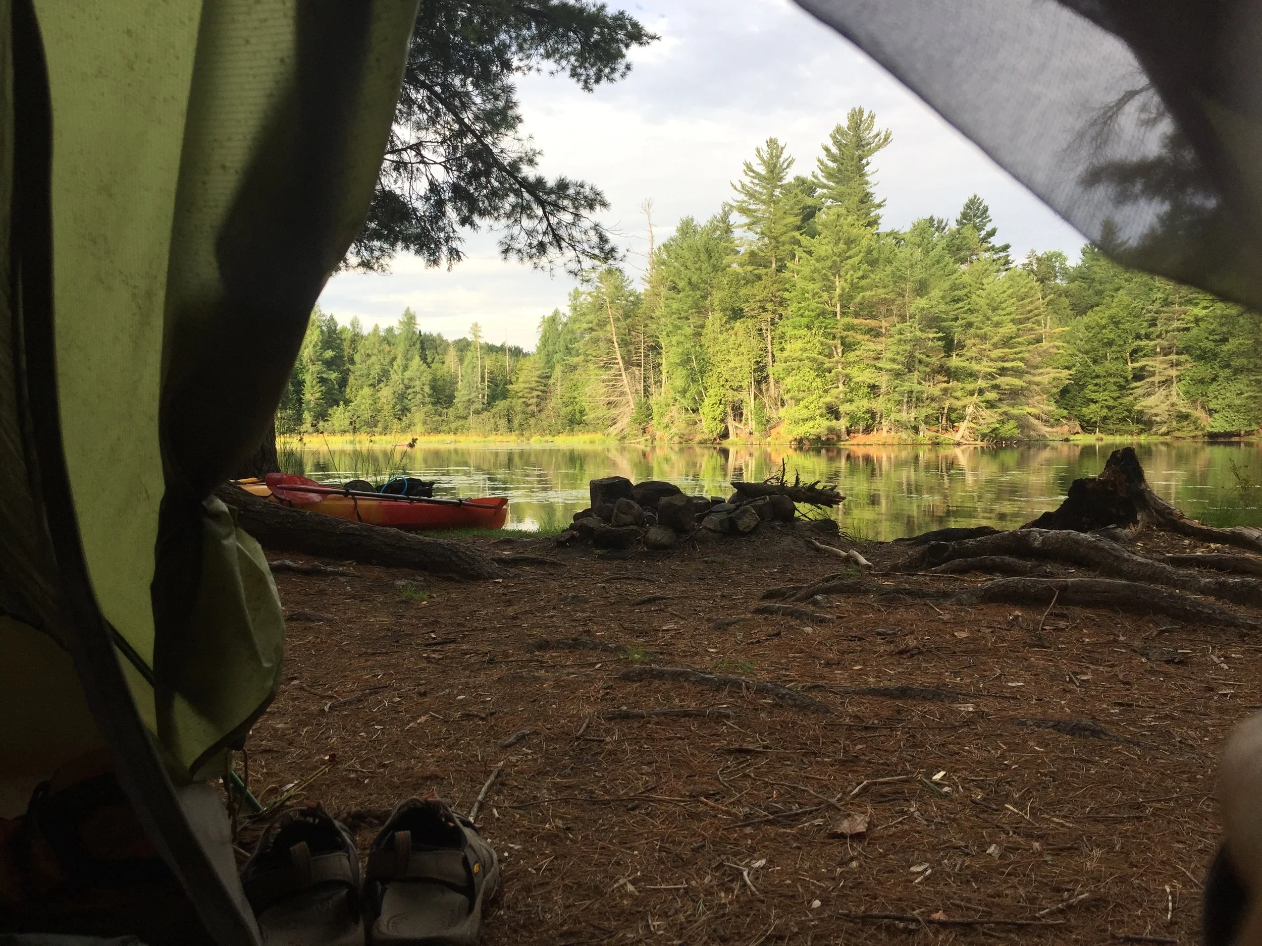 My morning view