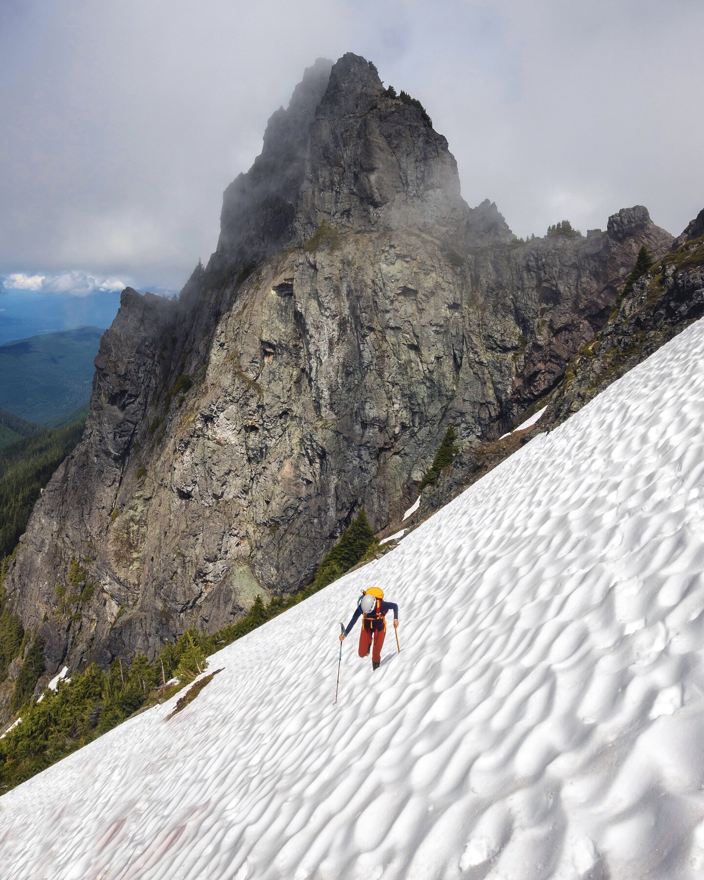 Moose navigates the snow field on her way up White Chuck Mountain #lifeisbetteroutside #whitechuck #highlife #whitechuckmountain #hellyhansen #mountainloop #pnwpeakbaggers #washingtonstate #washingtontrails #washingtonexplored #mountaineering