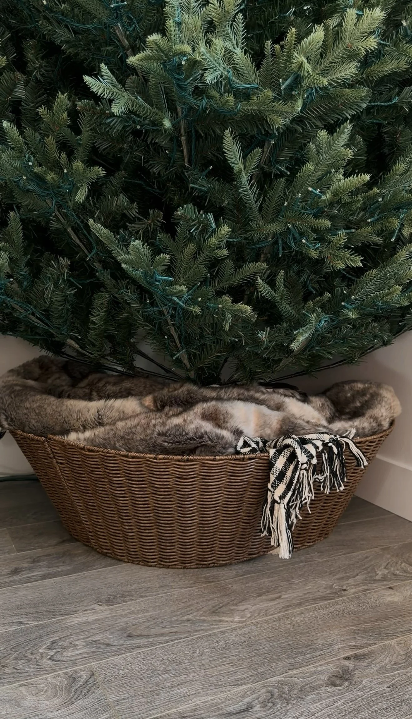 Wicker tree collar turned upside down around the tree stand