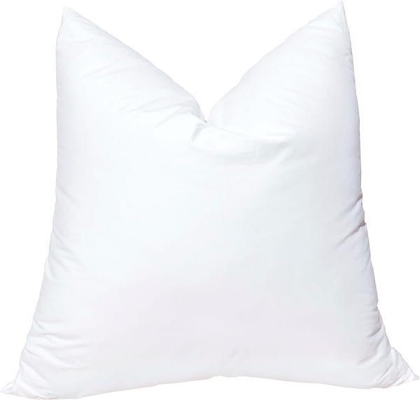 AMAZON PILLOW INSERTS