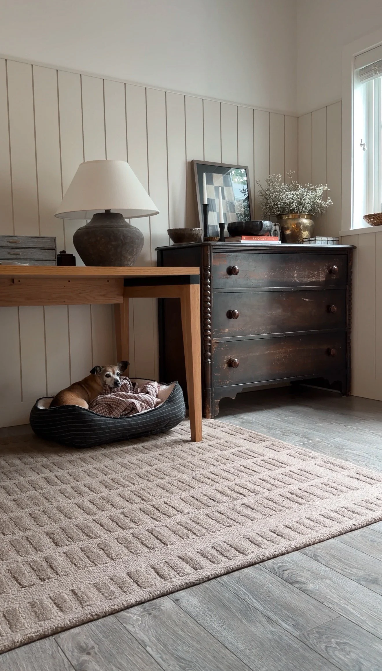 Living room and home office brown rug with layered modern organic decor