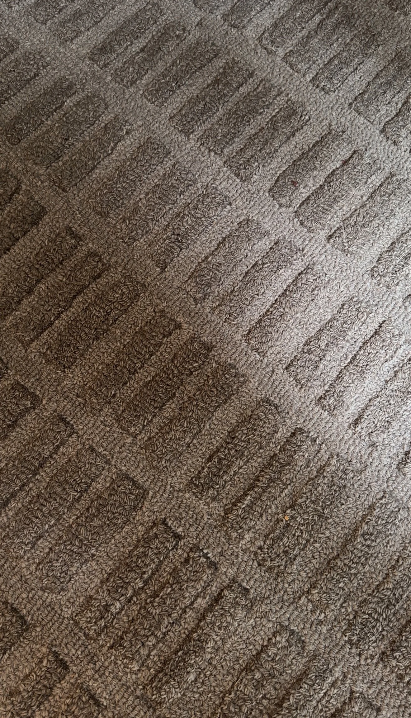 Close-up of the Chris Loves Julia x Loloi Bradley Cocoa Cocoa wool rug texture