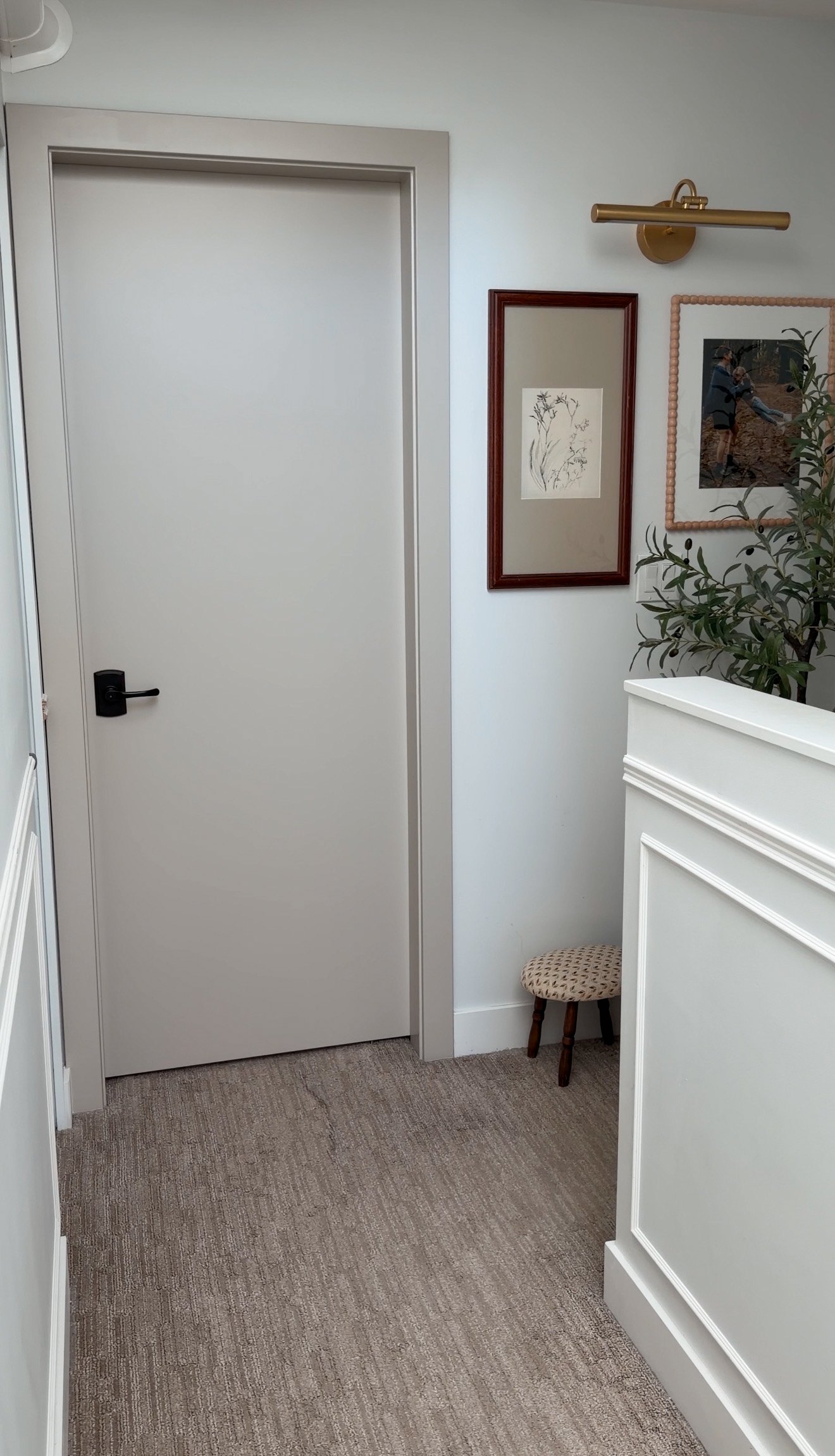 modern organic hallway with painted doors