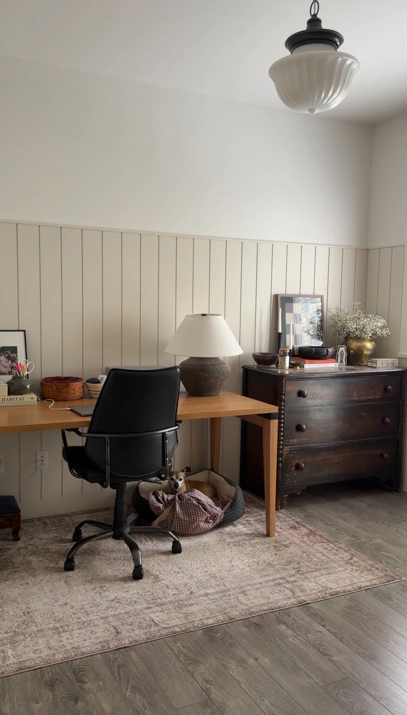 Loloi Margot Antique/Sage Area Rug real life photos