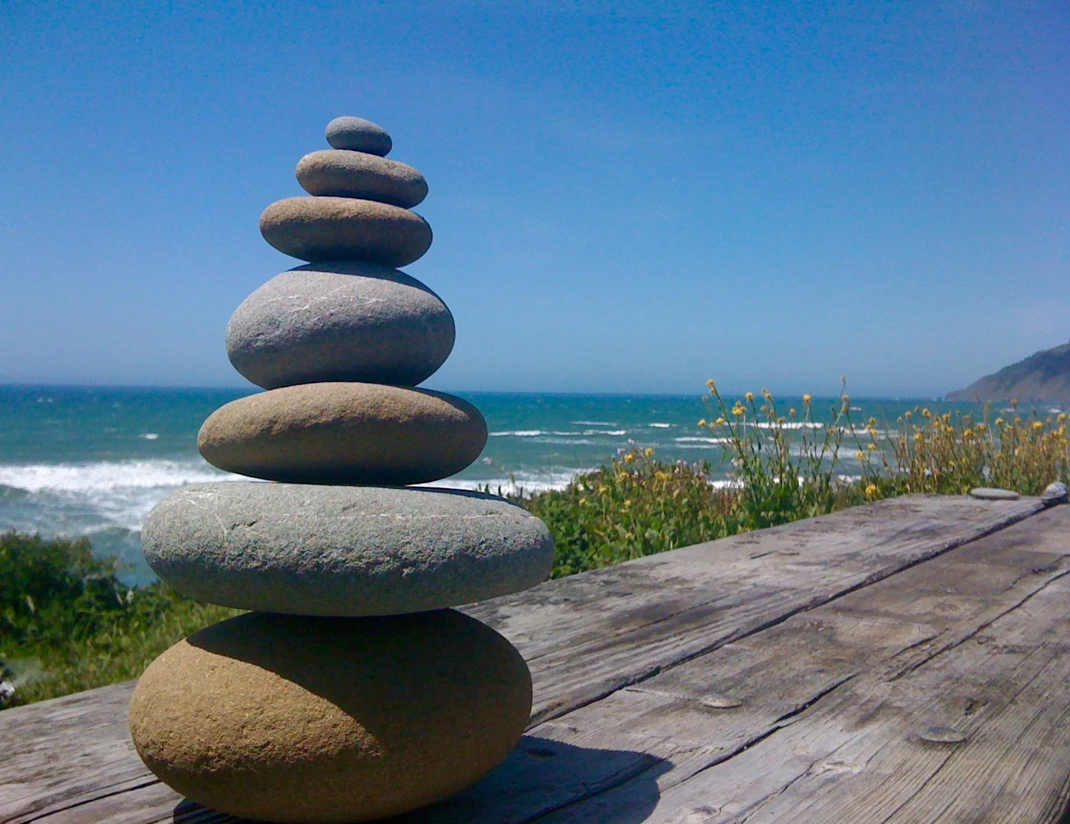 File Sep 16, 7 22 15 PM.jpeg