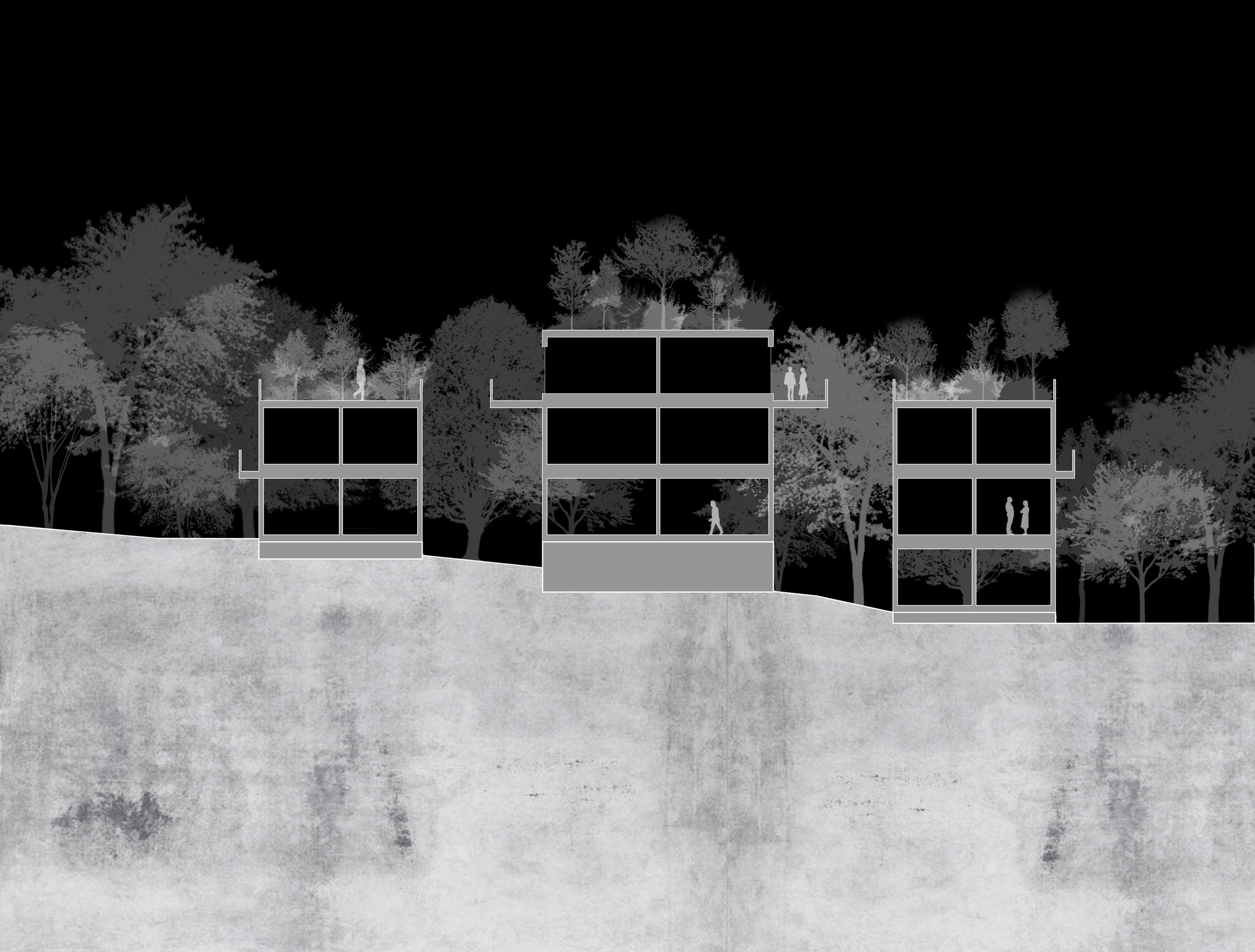 commercial section iverted.jpg