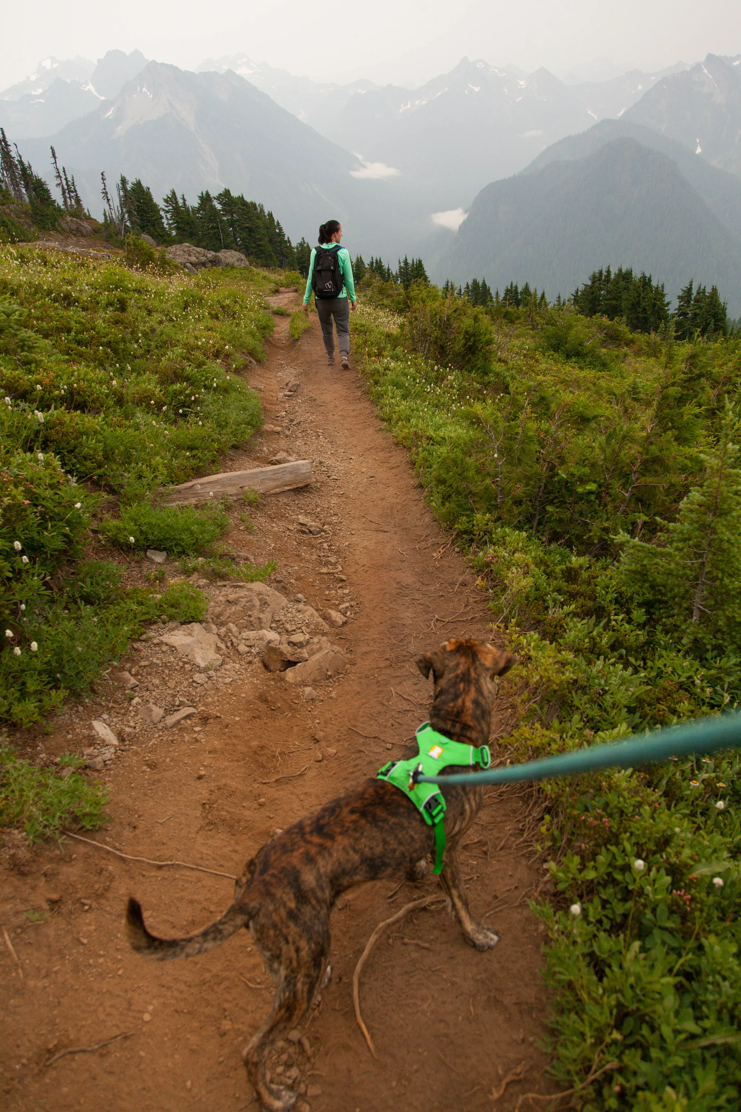 Getting Started with Photography: Camera and Lens Selection