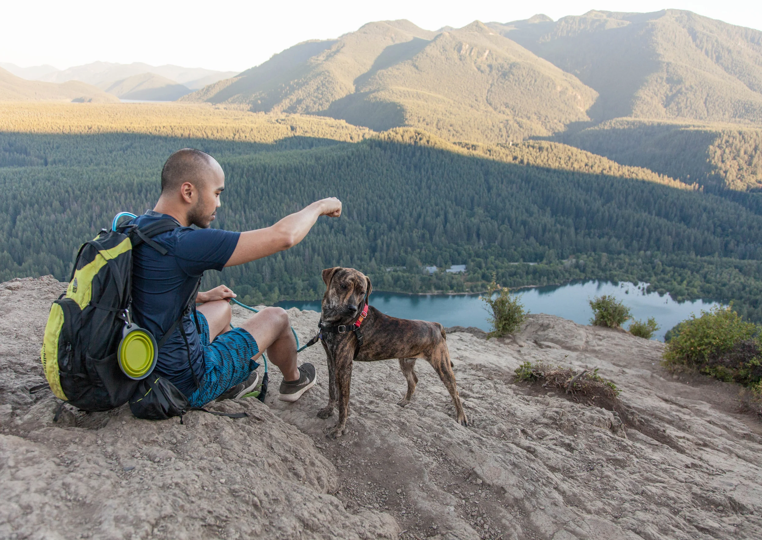 Kuma on his first hike to Rattlesnake Ledge