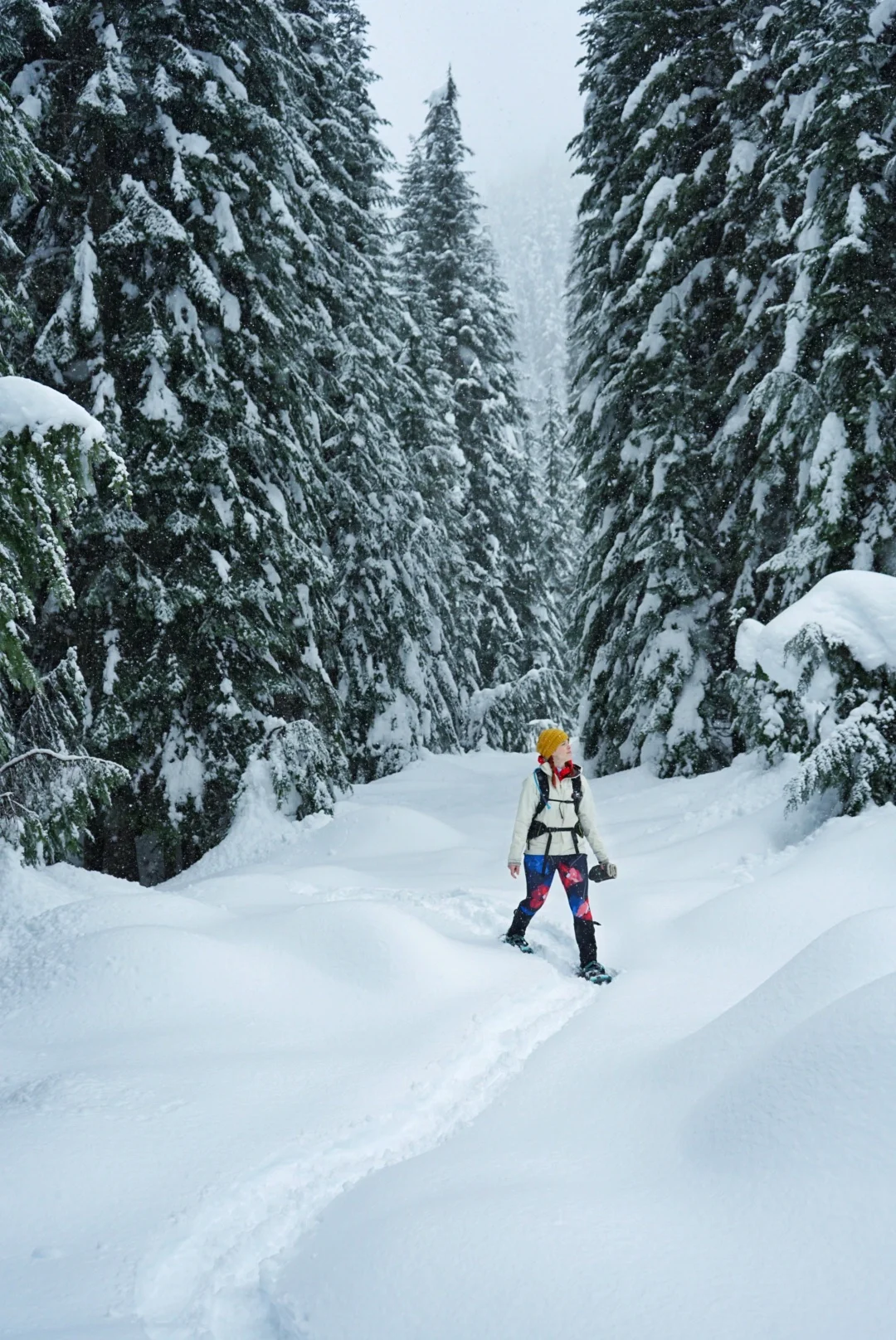 Flat road walks can be a great option when the avalanche forecast is high!