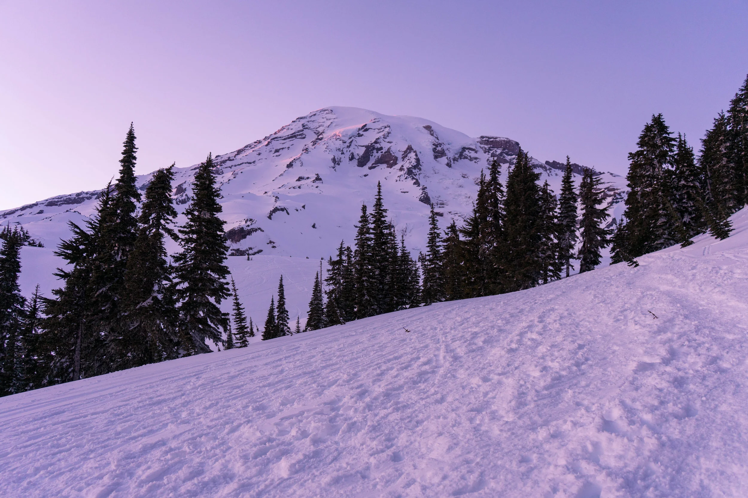 Rainier in all her glory!