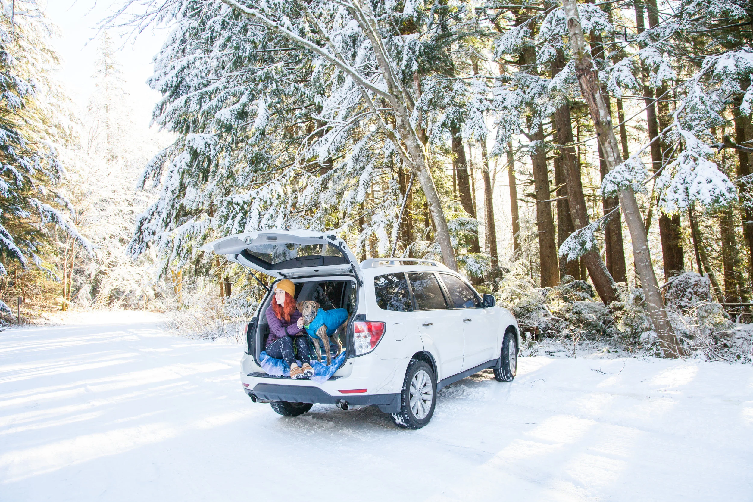 Don't own a car? Never fear! There are still ways for you to explore trails near Seattle!