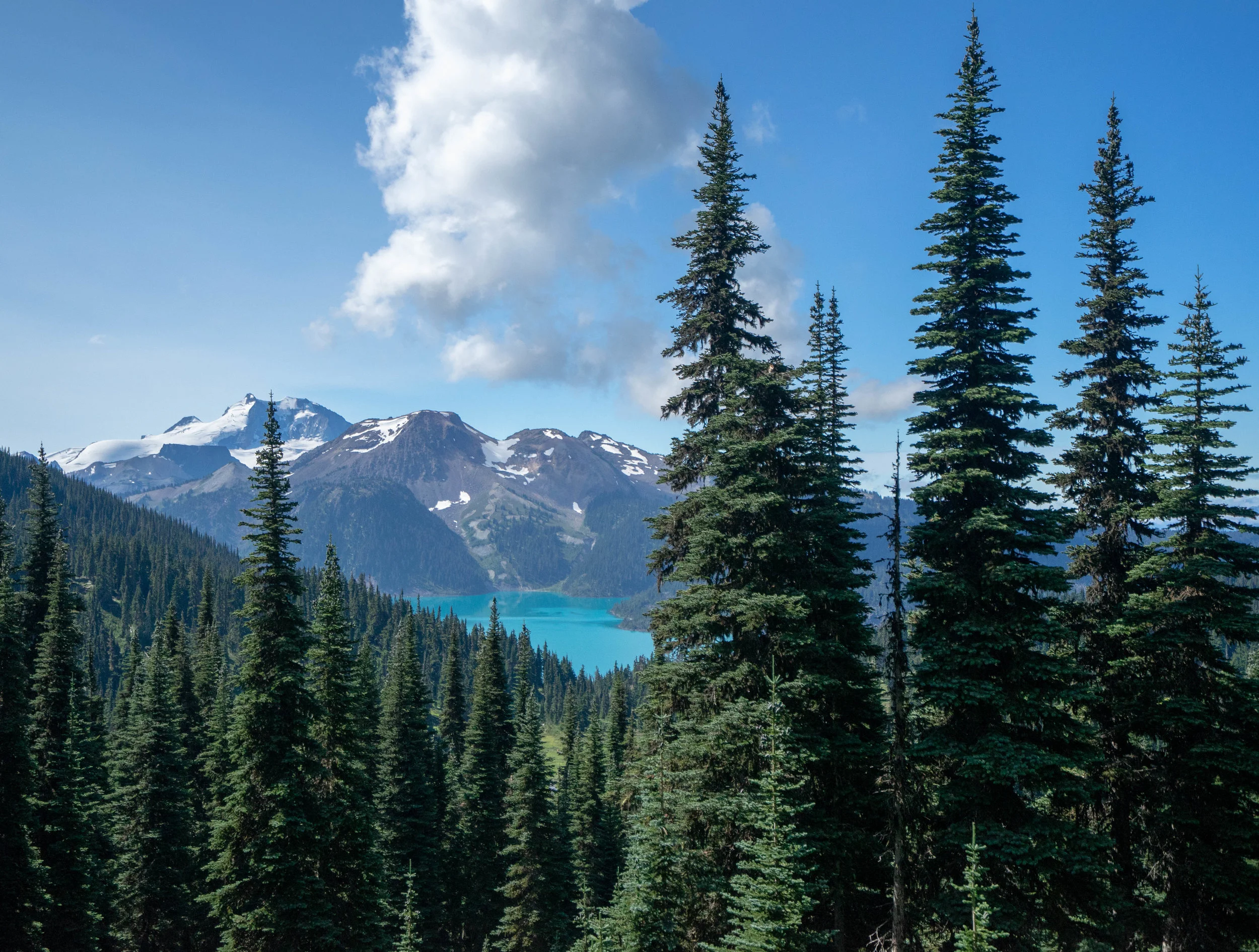 First glimpse of the lake on the trail to Panorama Ridge