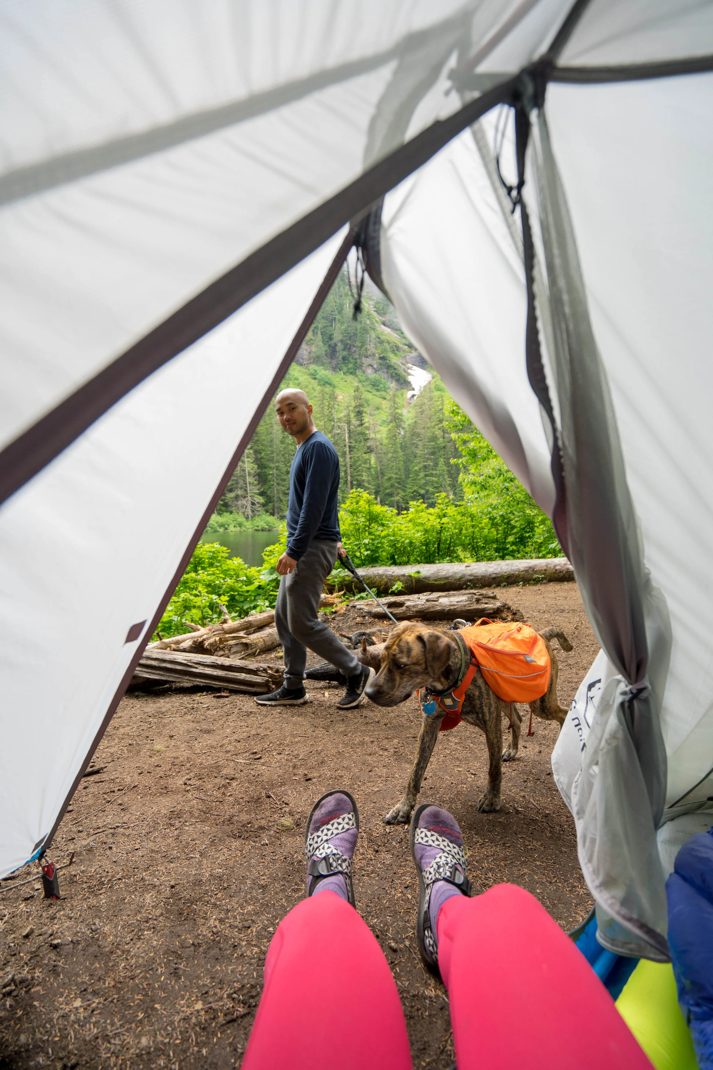 Moments before Kuma shredded a hole in the tent door.