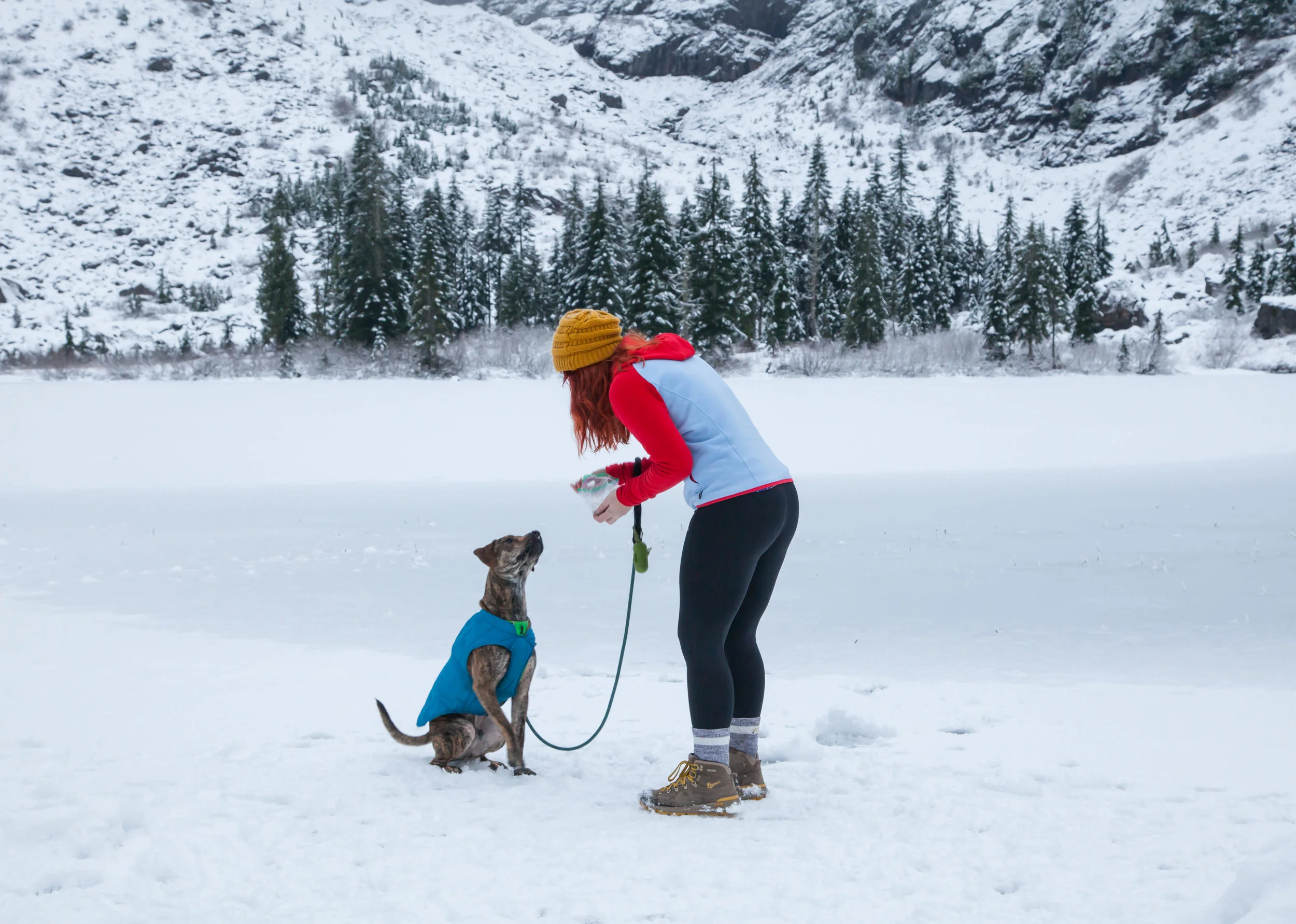 It's an on-leash life for this dog!