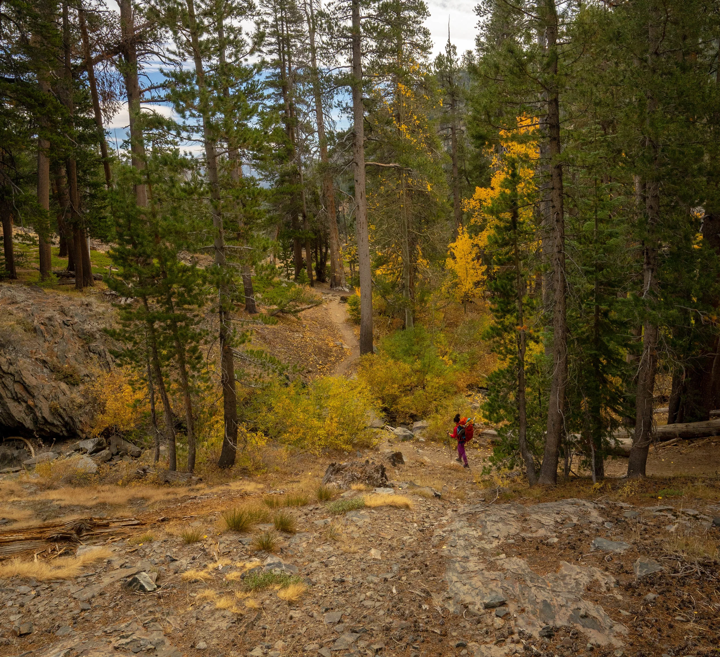 Beautiful fall colors on the trail!