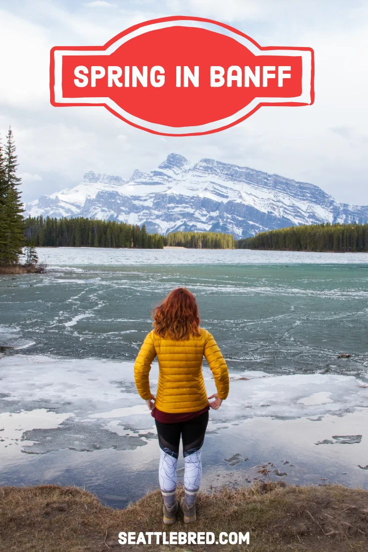 Spring-in-banff-national-park.jpg