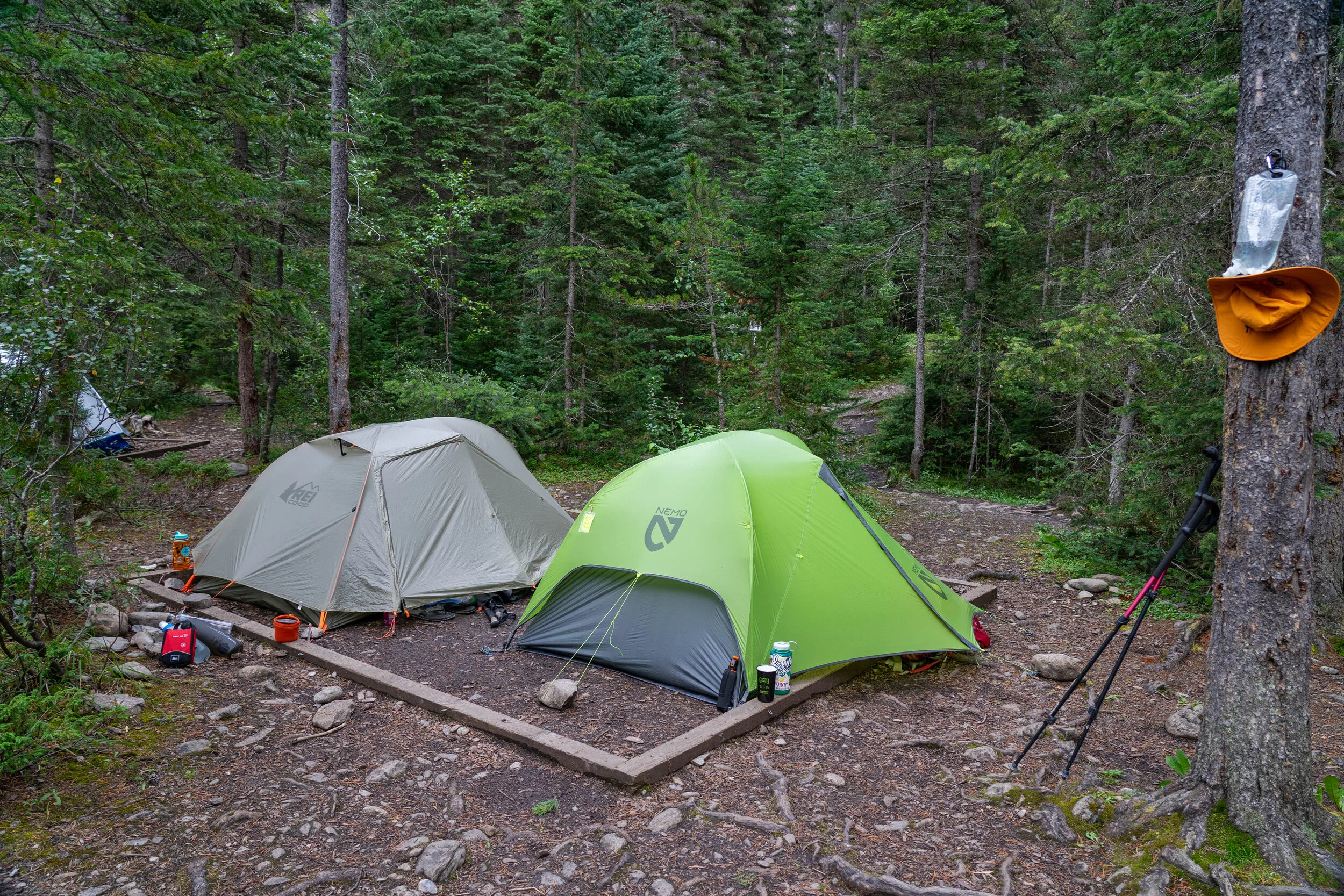 Whitehorn tentpads are unfortunately right next to the trail, and right next to each other.