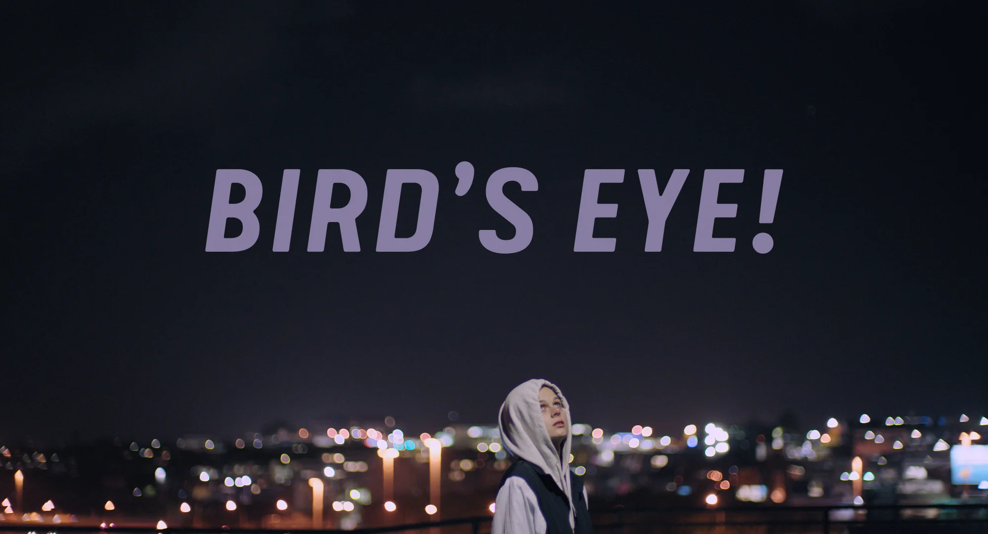 Bird's Eye TITLE.jpg