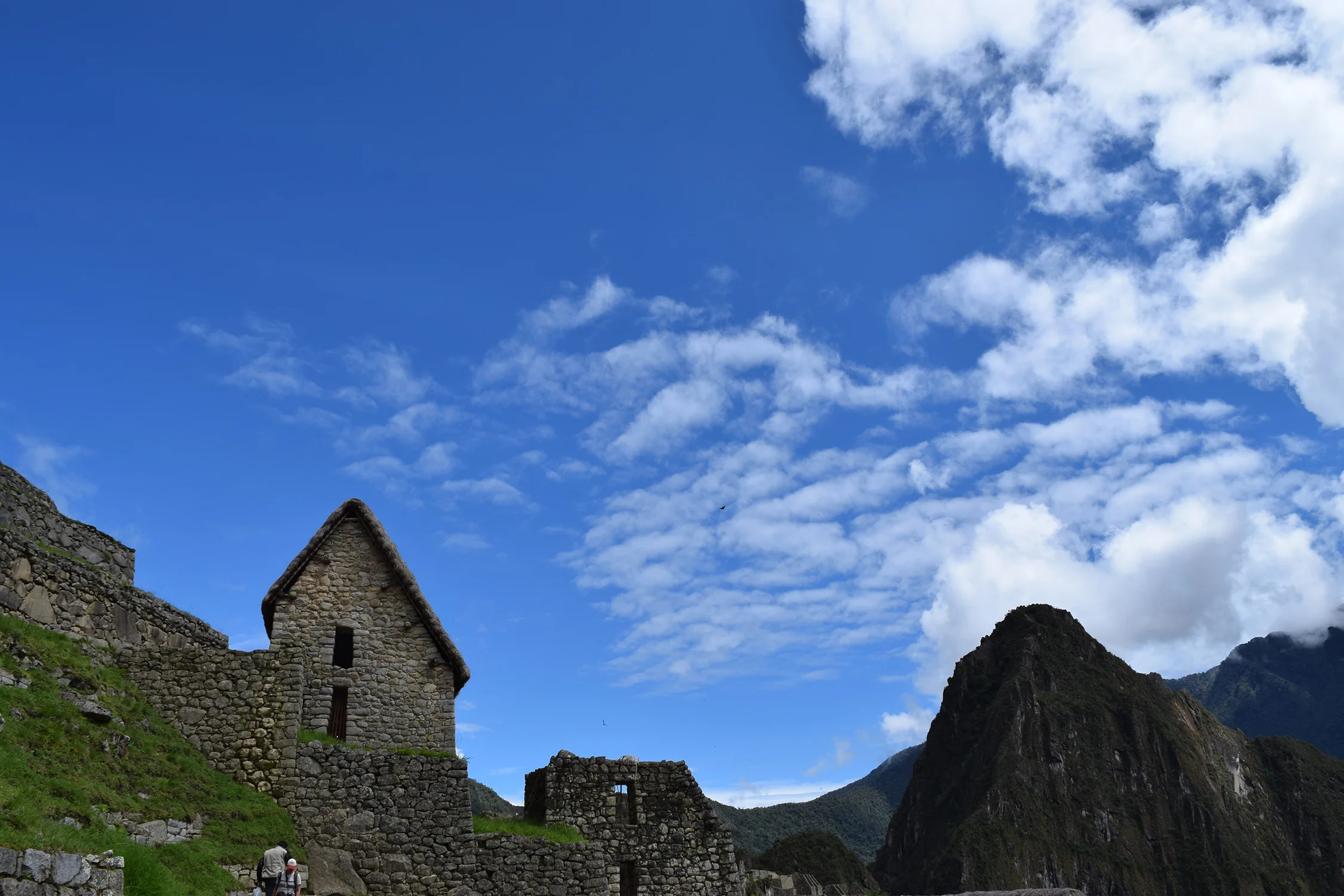 DSC_0802.jpg