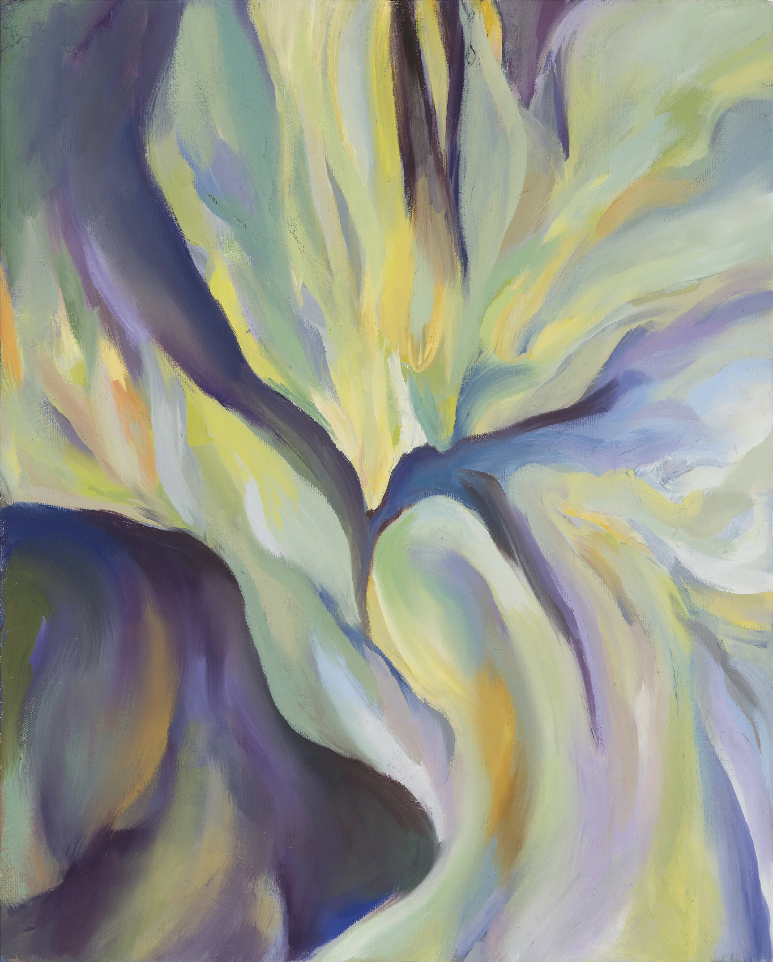 Complementary study #1
