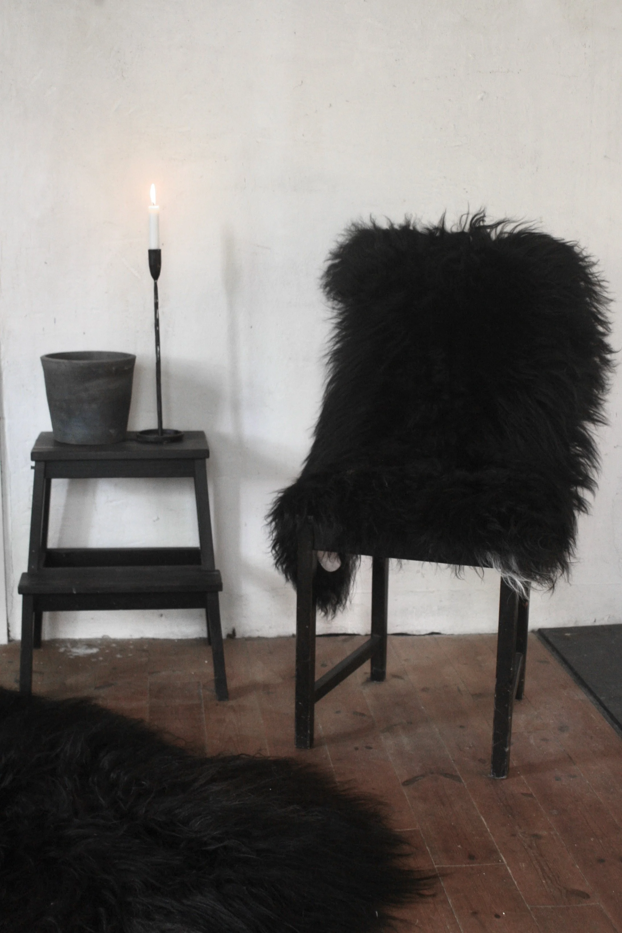 IMG_3147 2.JPG