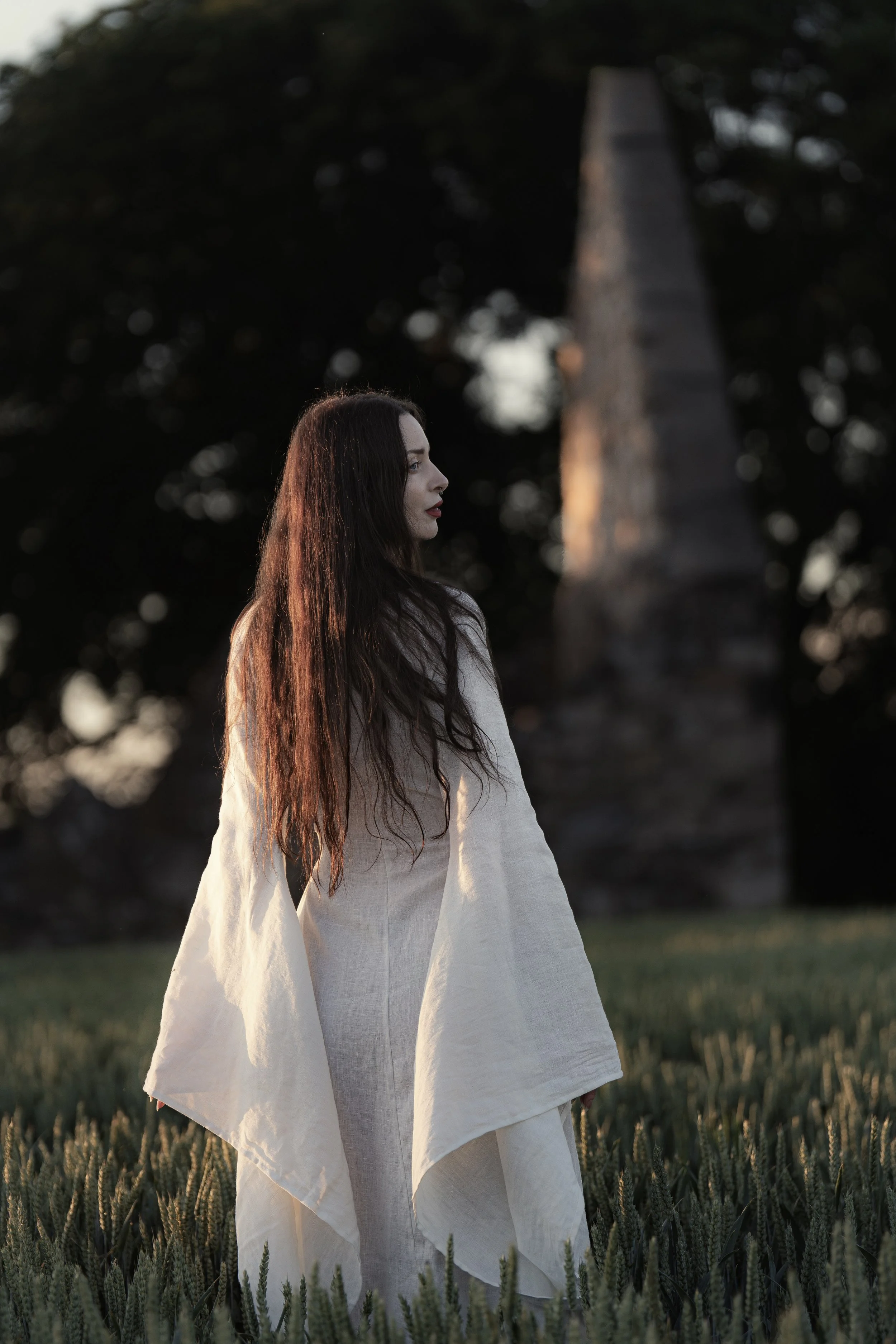 DSC03430.jpg