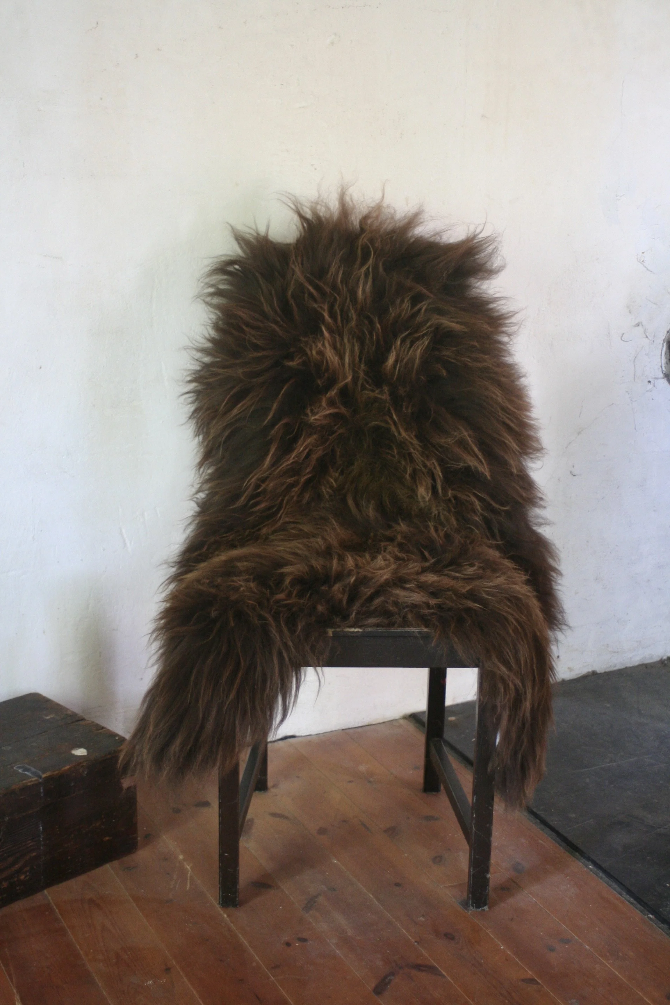 IMG_2771.JPG