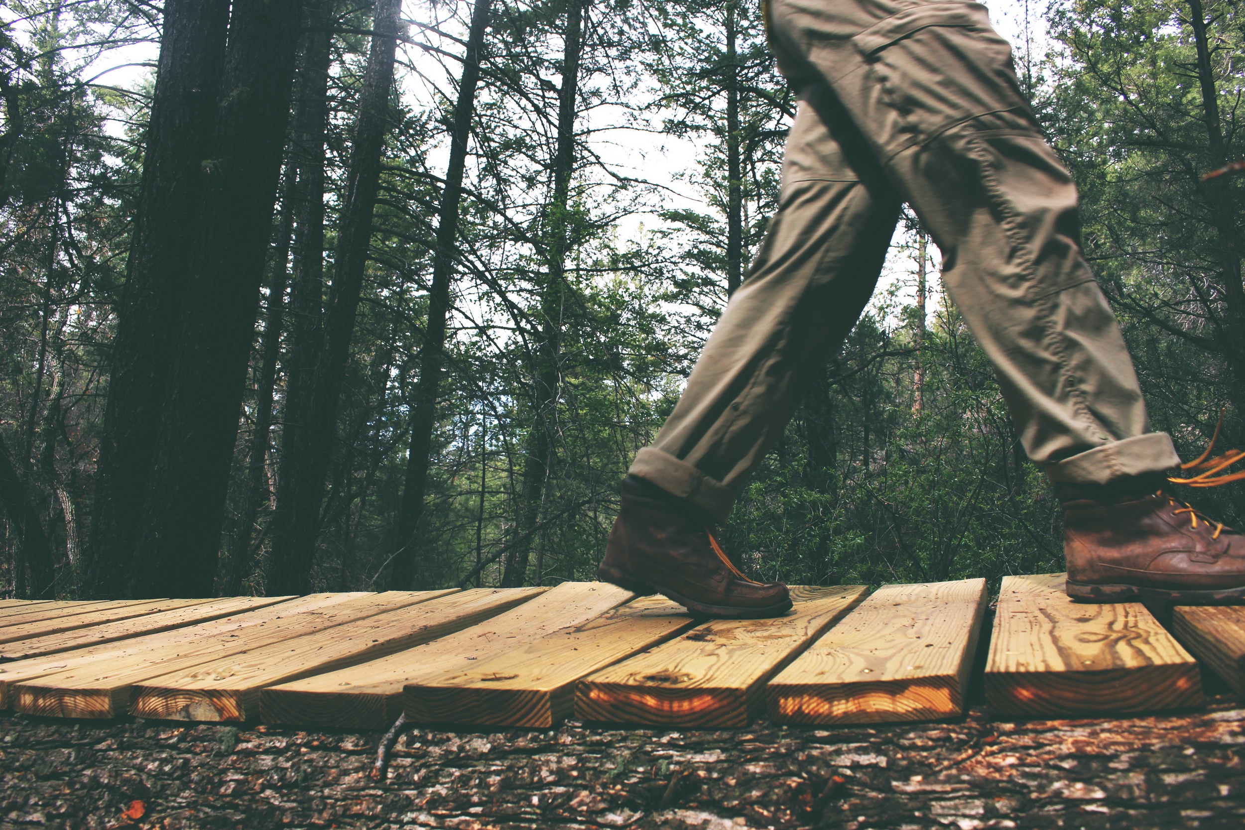 The Art & Science of Moving Forward