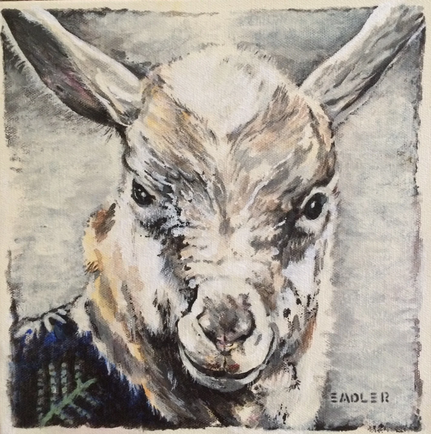 Young Goat Portrait