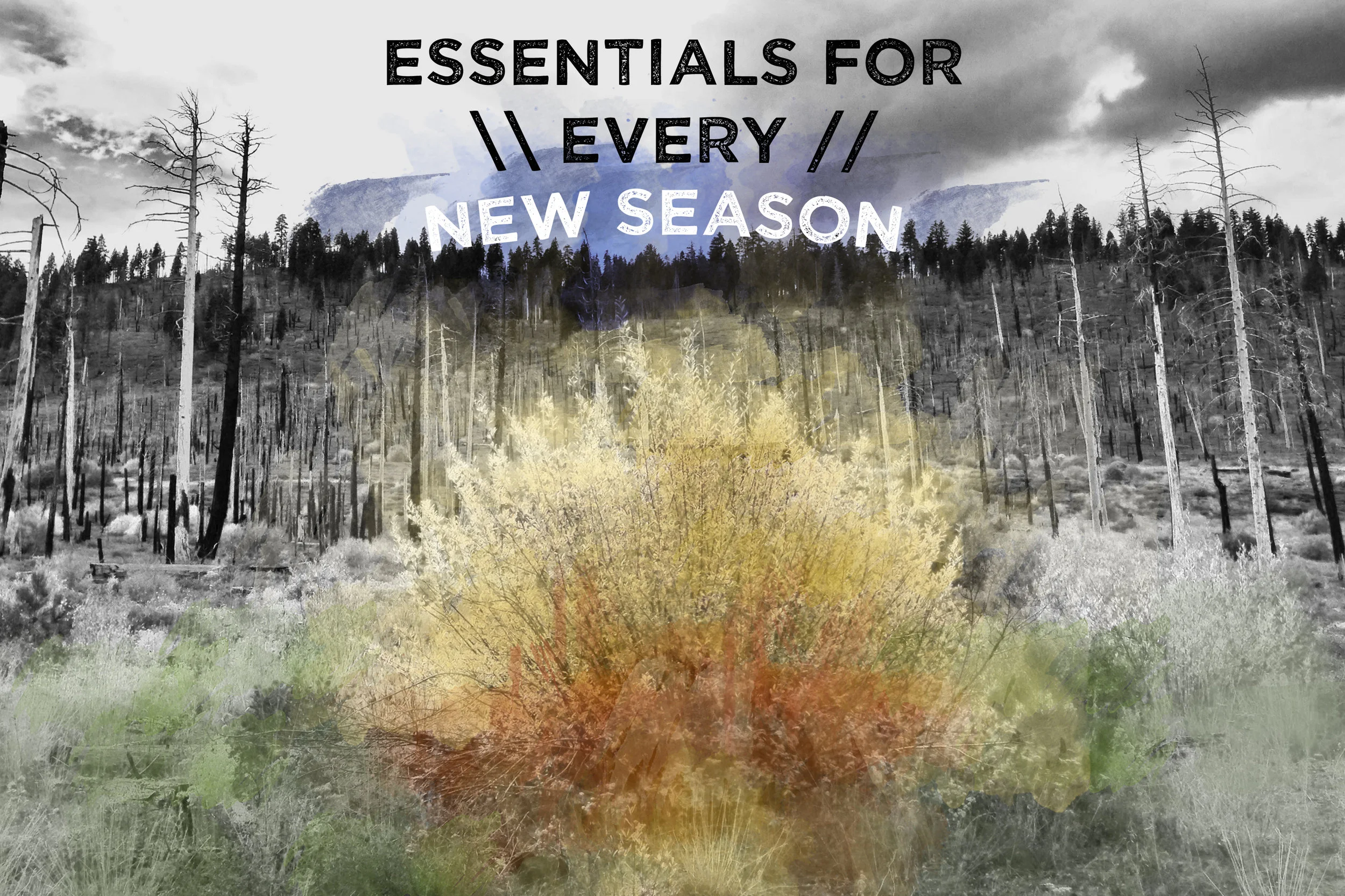 Essentials.jpg