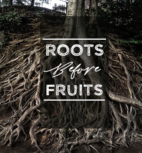 Roots.jpg