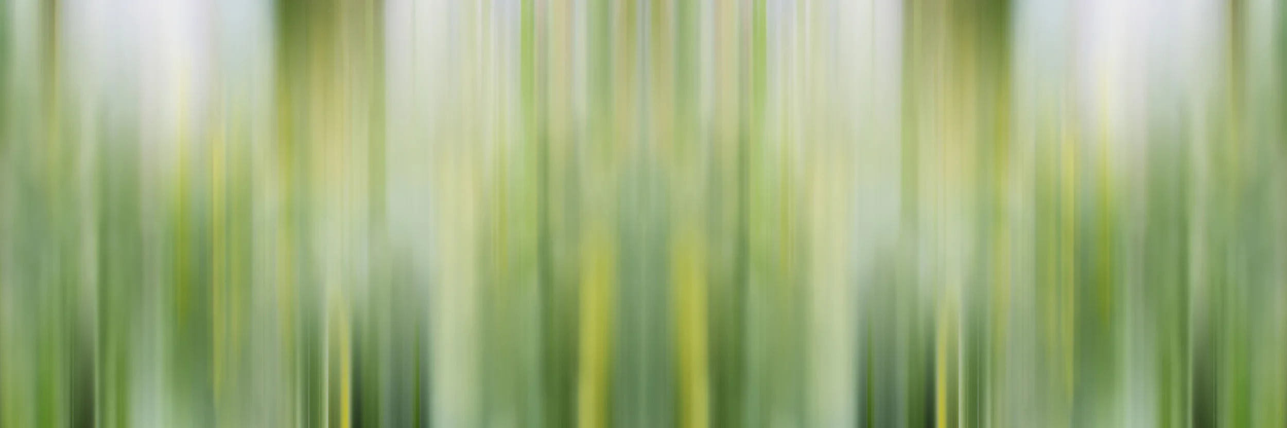 49182-9343823-Viridescence-1_jpg.jpg