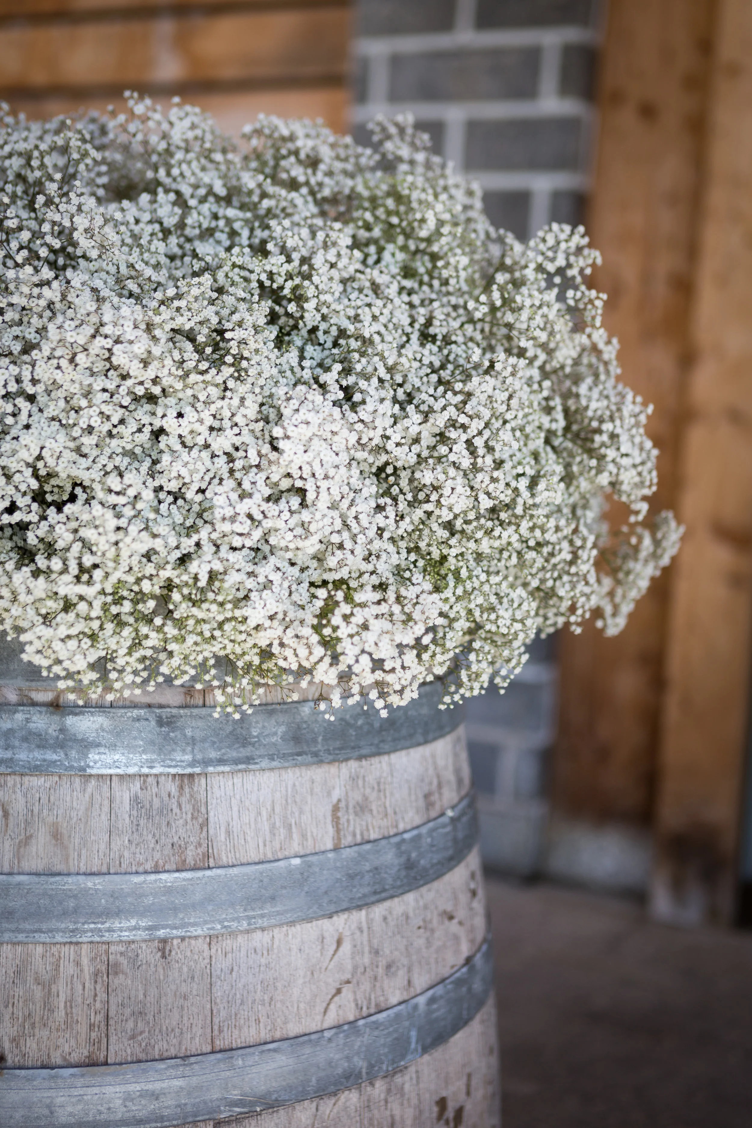 Vintage wine barrels