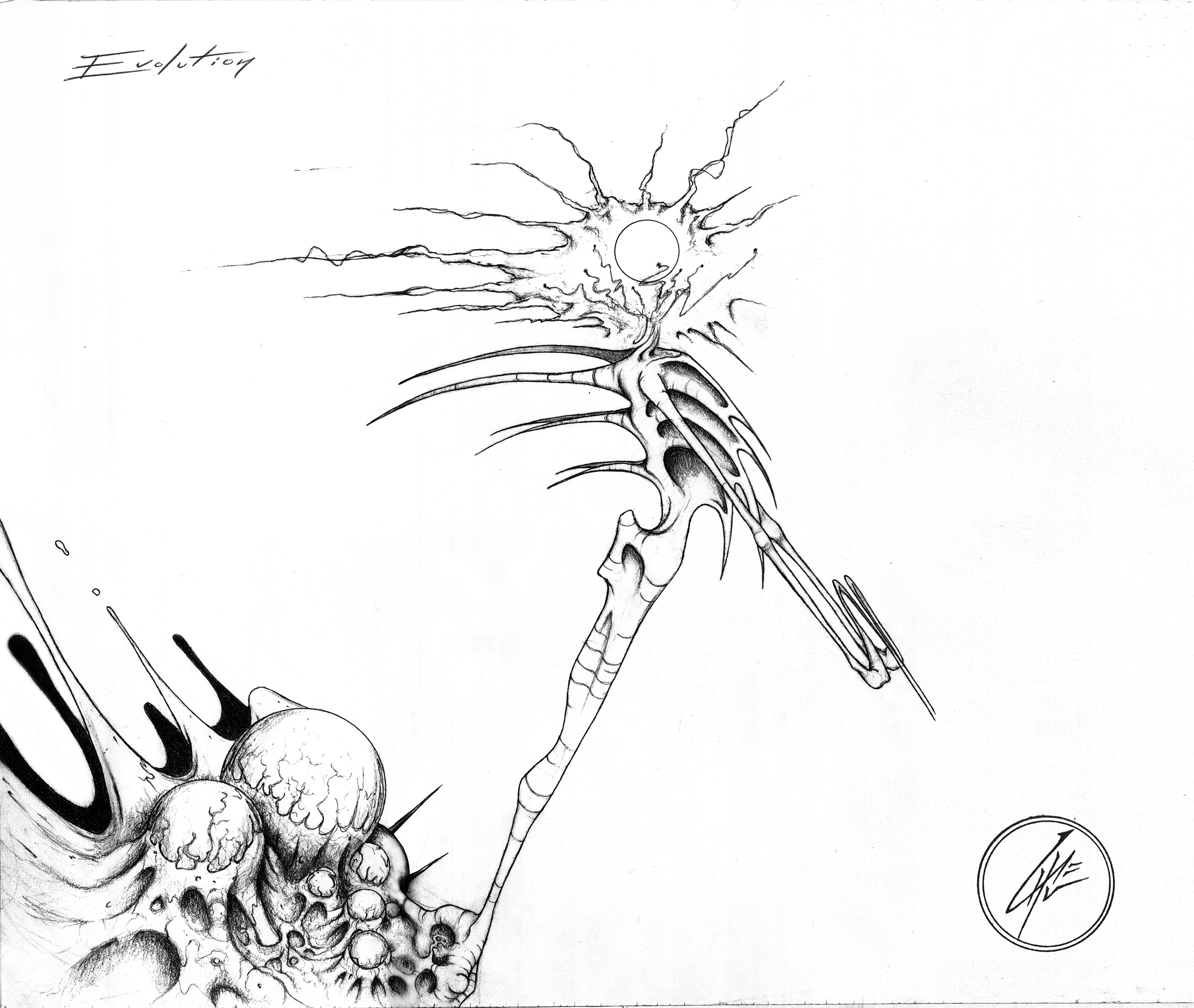 Evolution.jpg