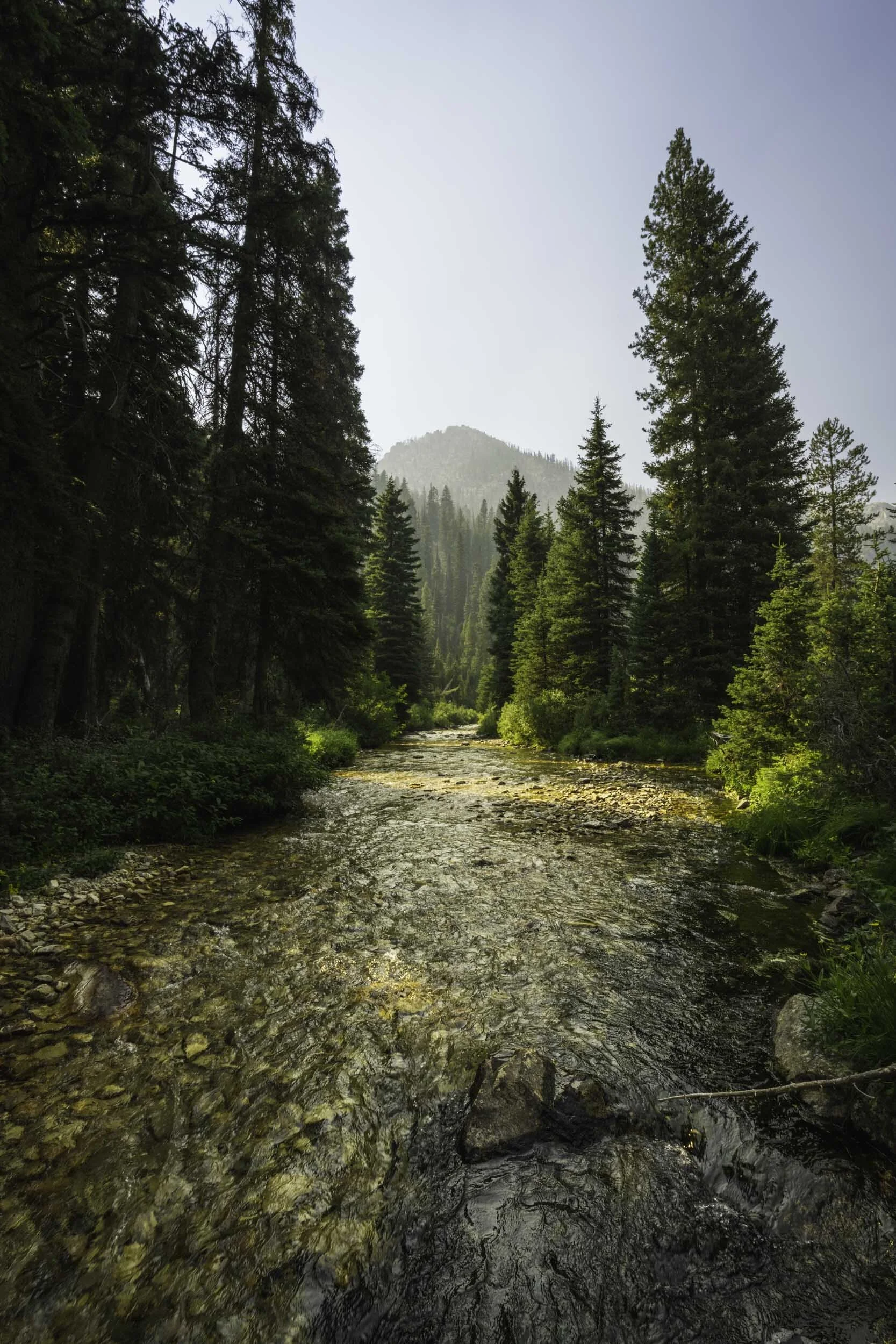 Idaho Queens River.jpg