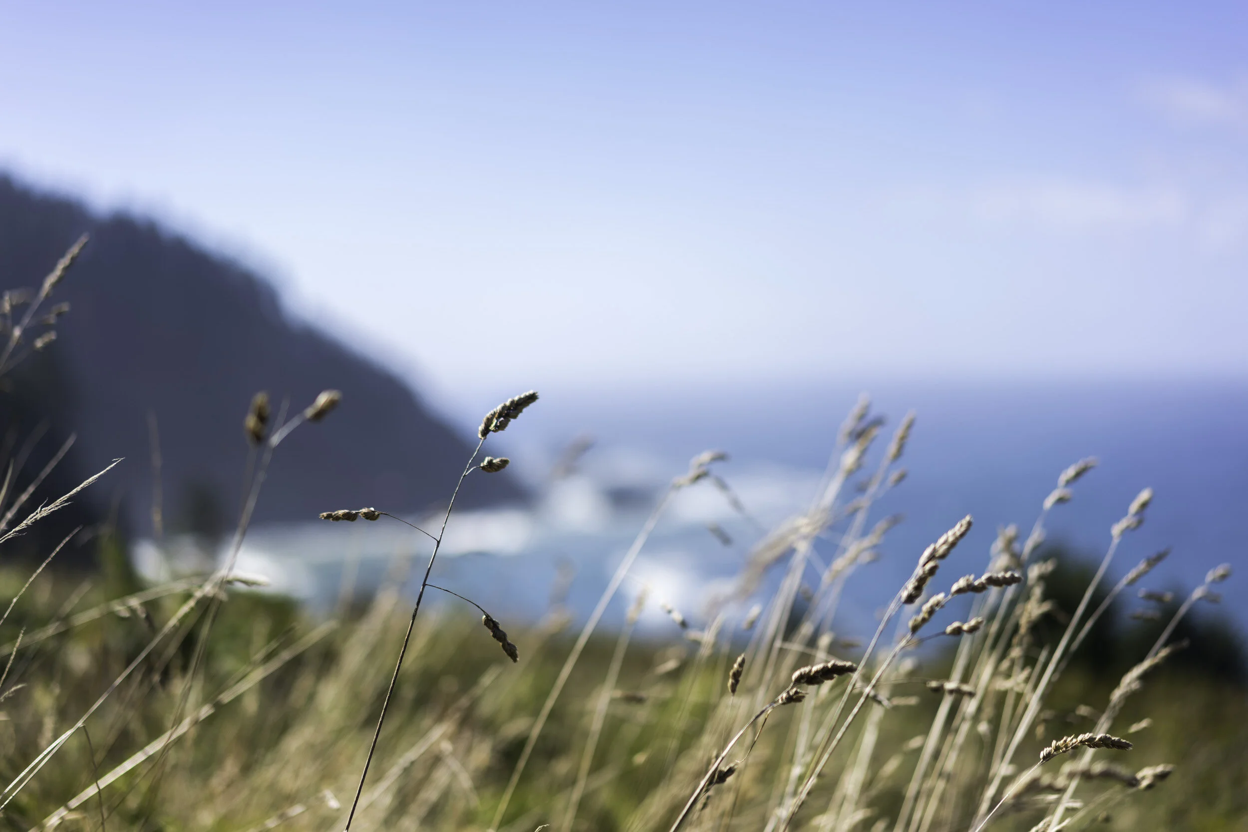 Oregon Coastline.jpg