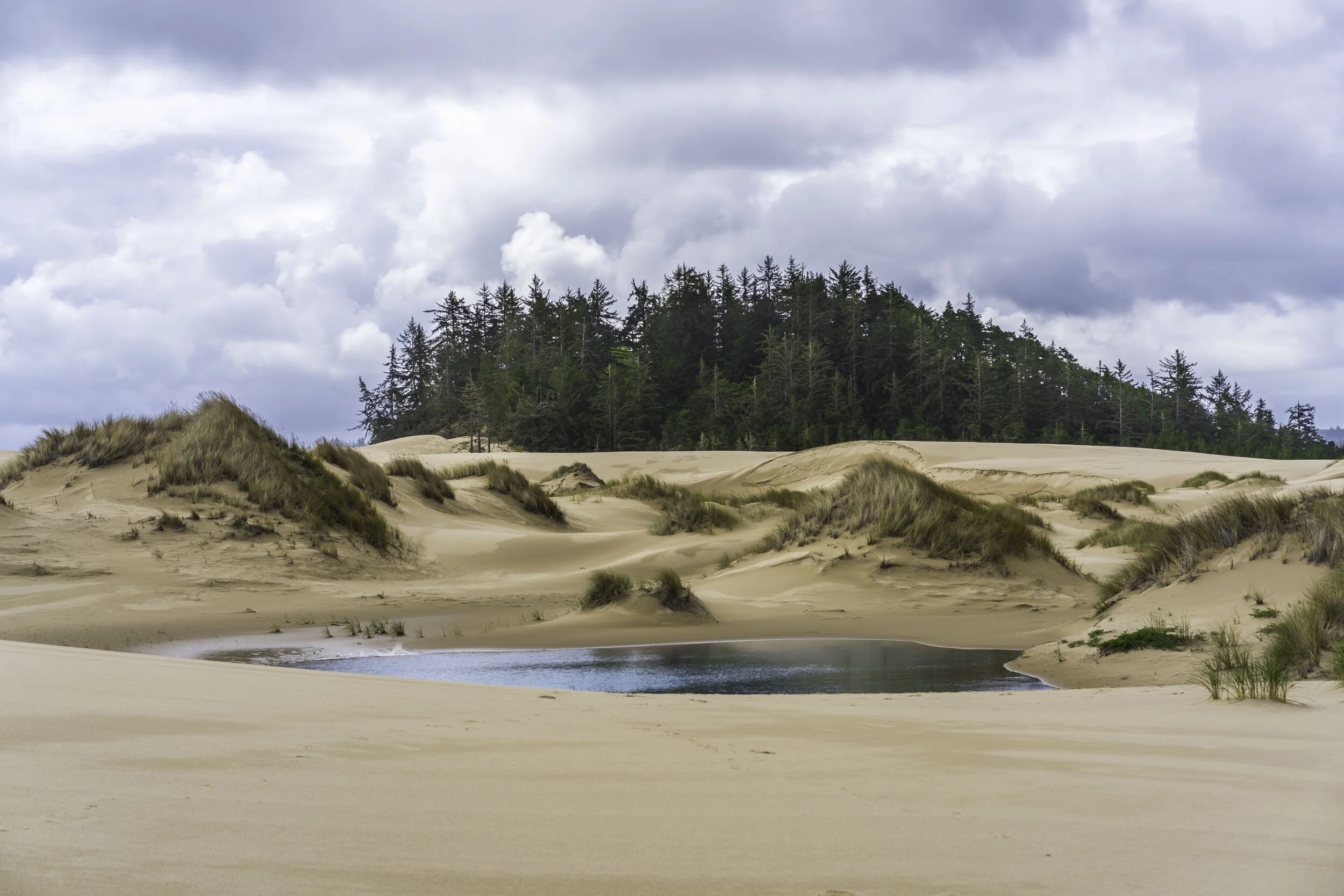 Oregon Sand Sundes.jpg
