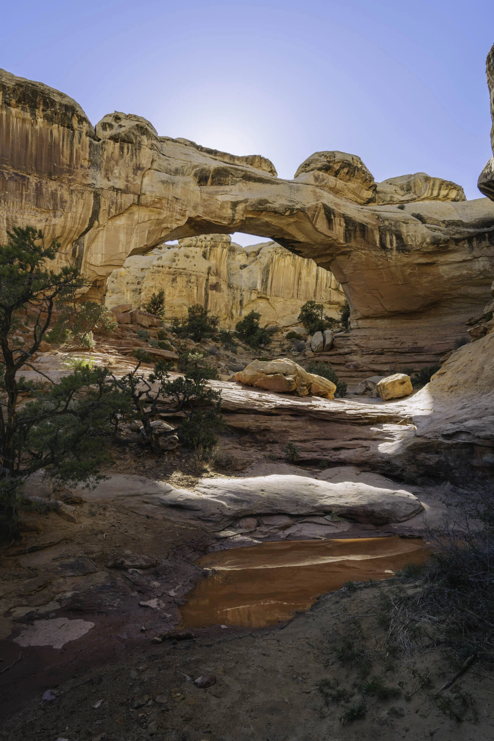 Utah Capitol Reef Arch.jpg