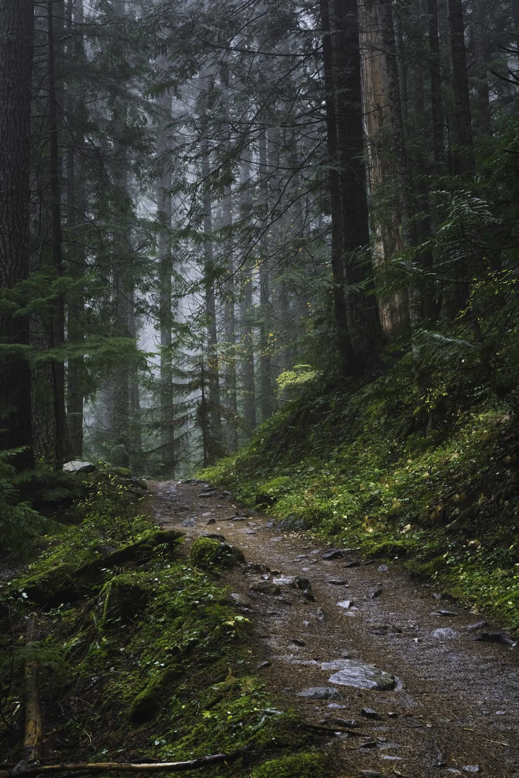 Washington Pratt Lake Trail.jpg