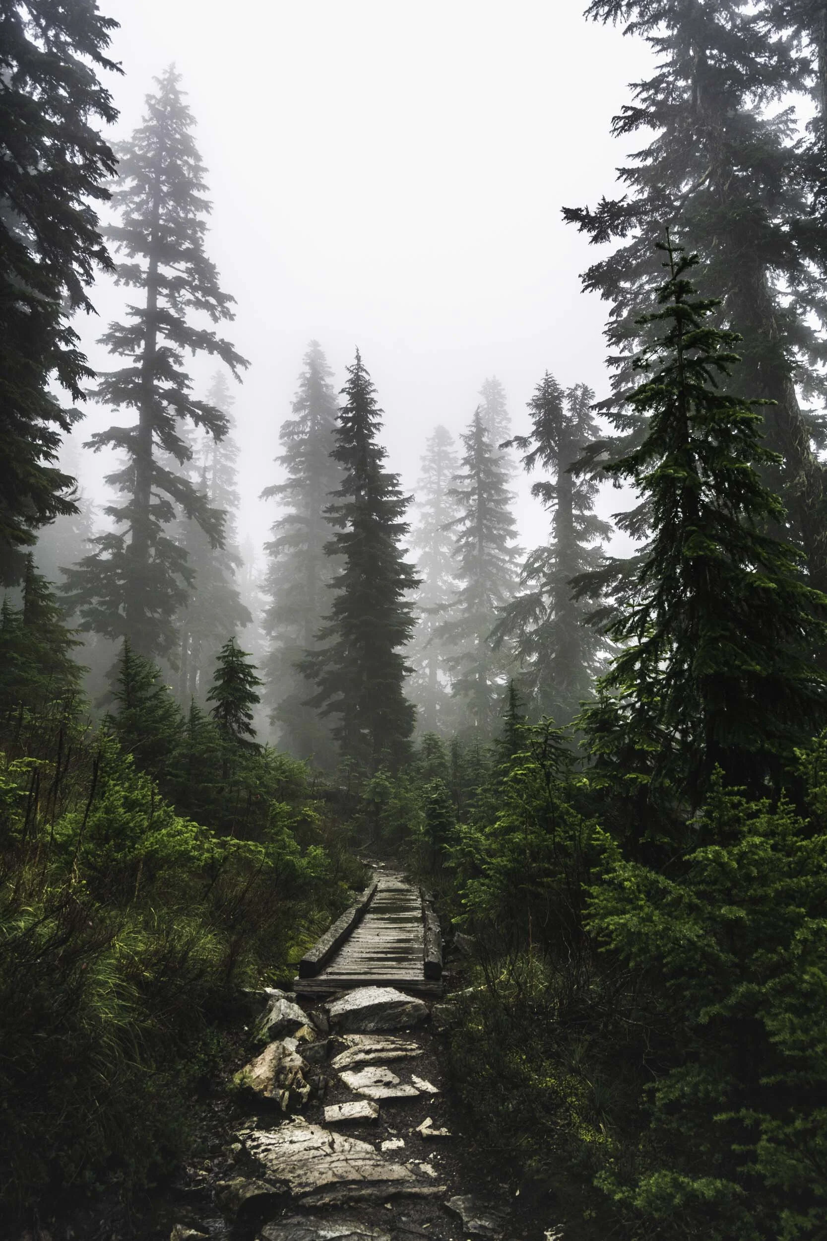 Washington Snow Lake.jpg