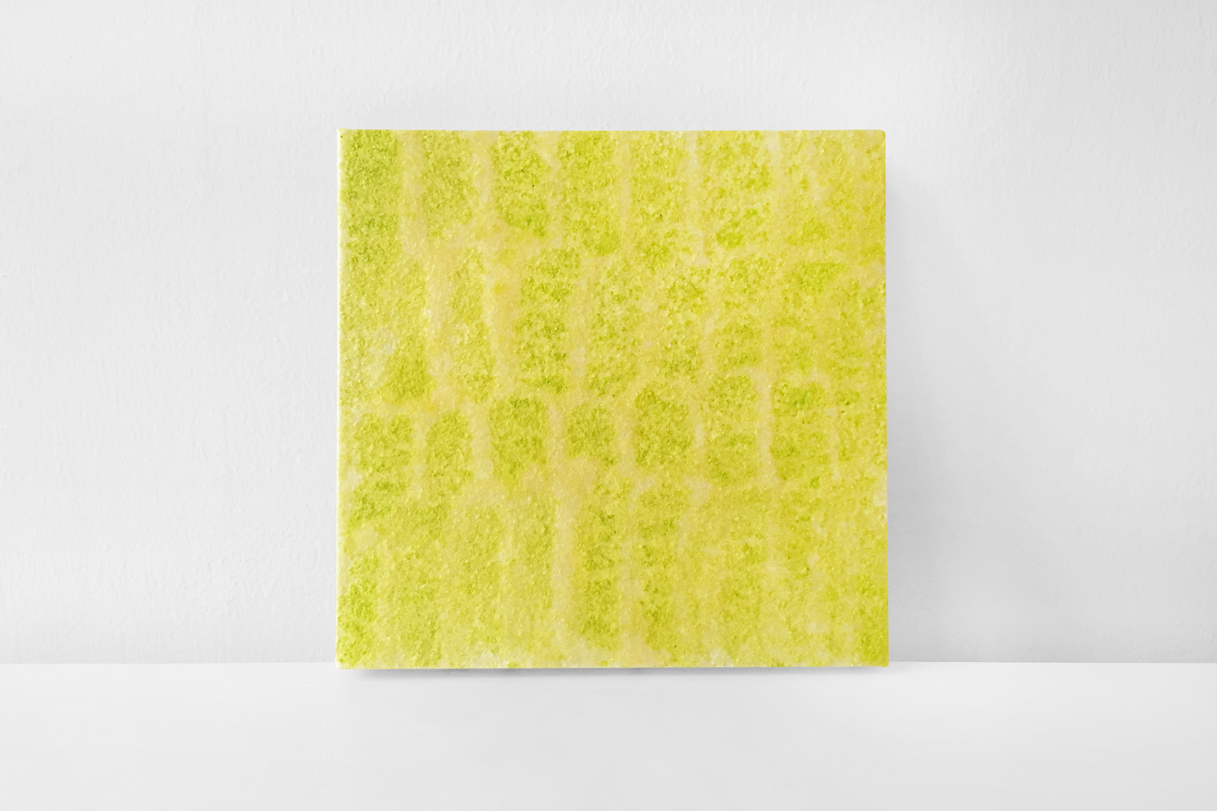  Lime, 2015 mixed media on canvas 20x20 cm / 8x8 in EAF104    