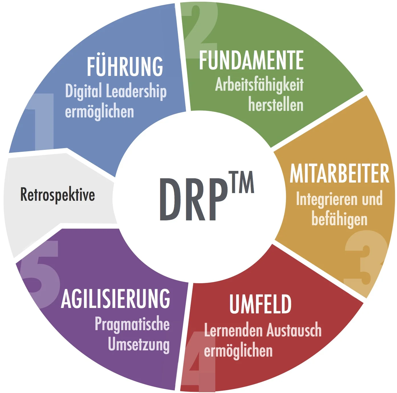 Methodisches Fundament: Das digitale Befähigungsmodell DRP von QUANTIC Digital und Fraunhofer Institut IVI