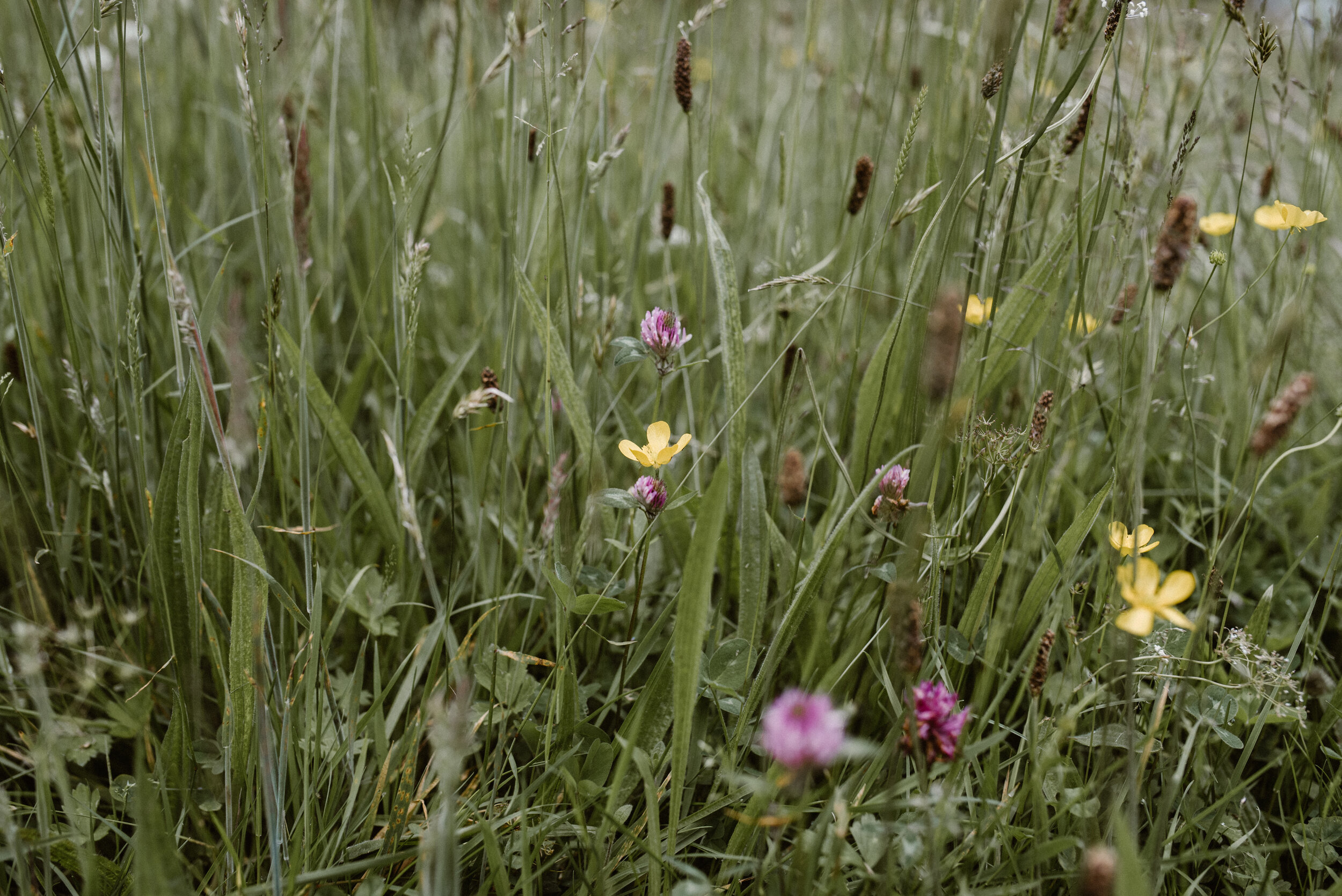 www.thestagandthedoe.com,weddingphotographer,Scotland-1.jpg