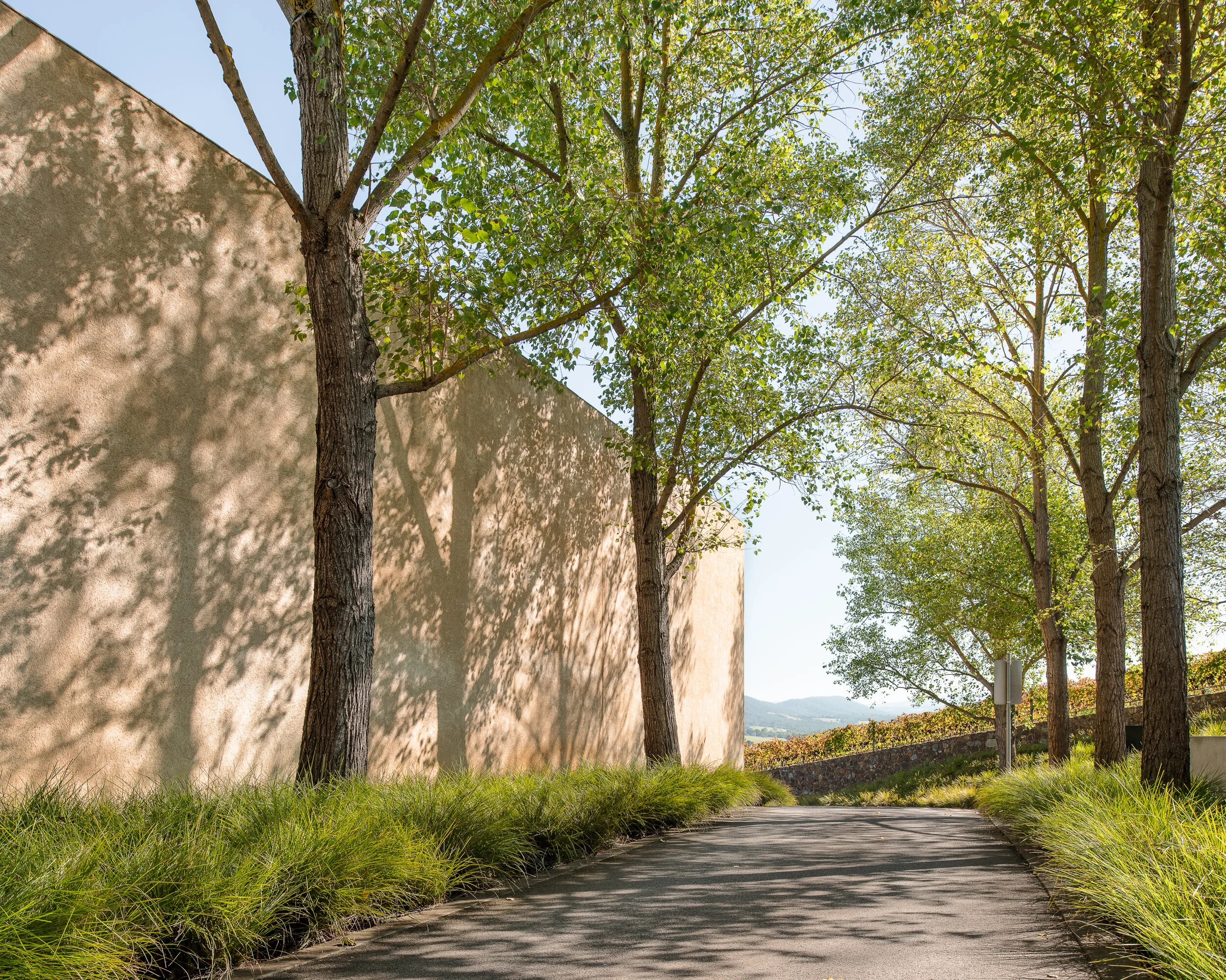 2021-07 Portfolio-3.jpg