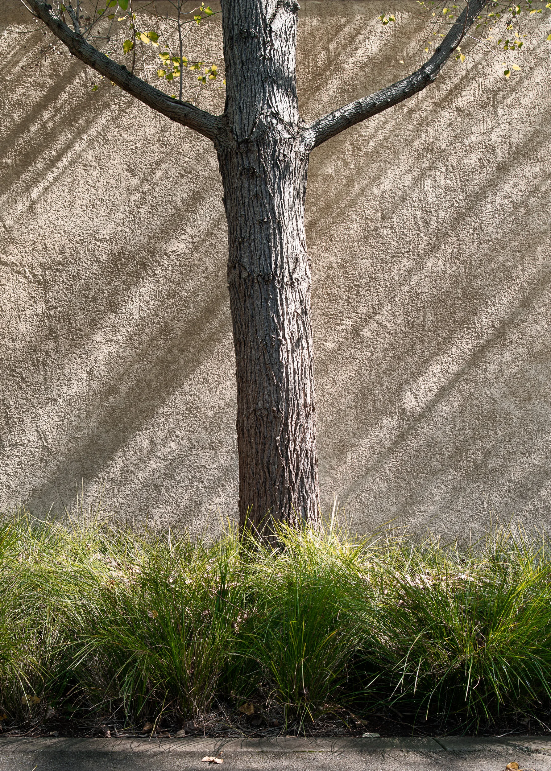 2021-07 Portfolio-4.jpg